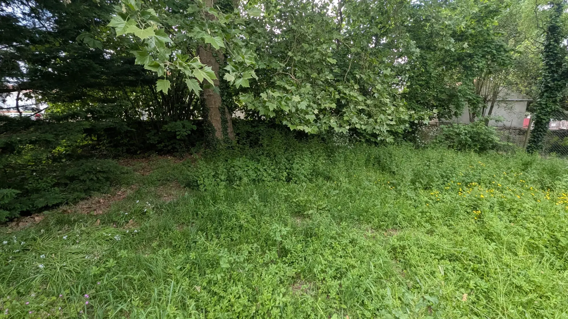 Terrain constructible de 766 m² au centre de Magné – Opportunité rare 