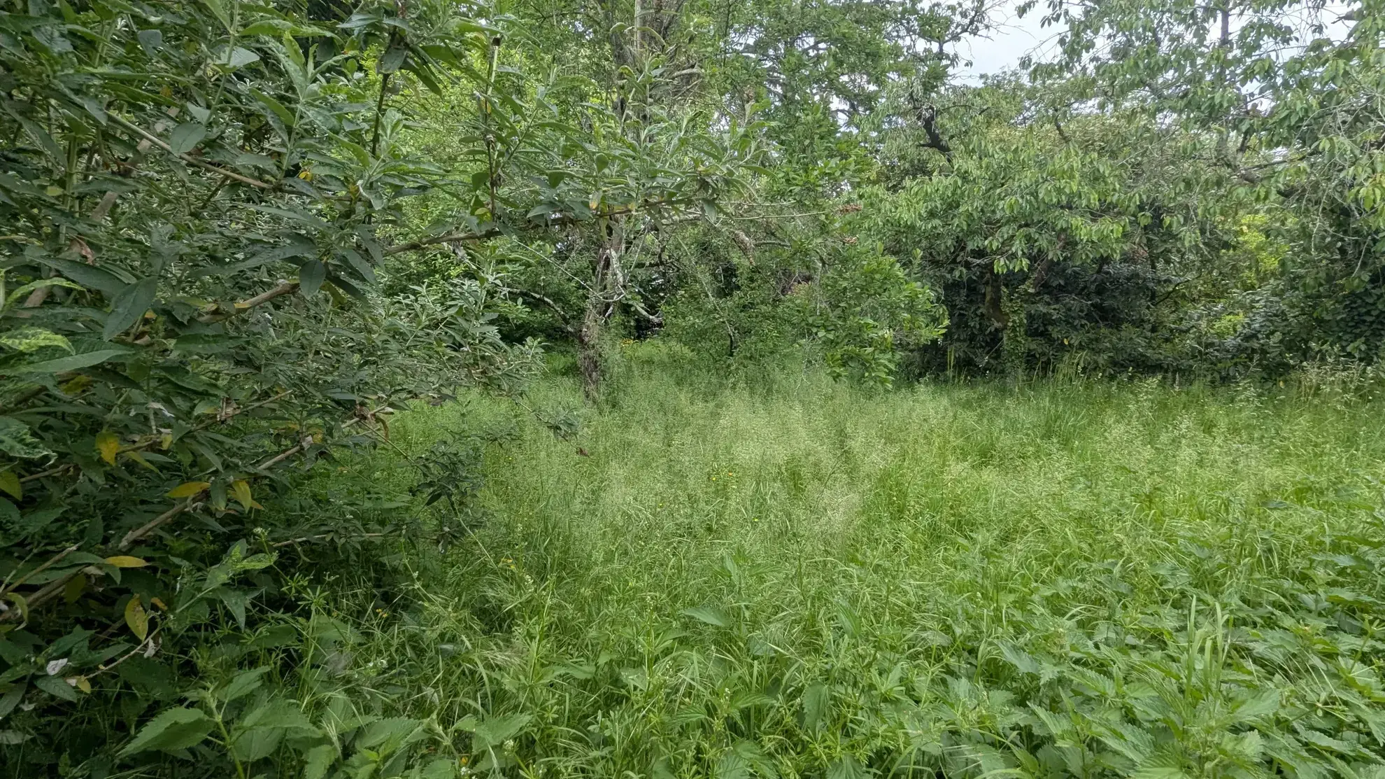 Terrain constructible de 766 m² au centre de Magné – Opportunité rare