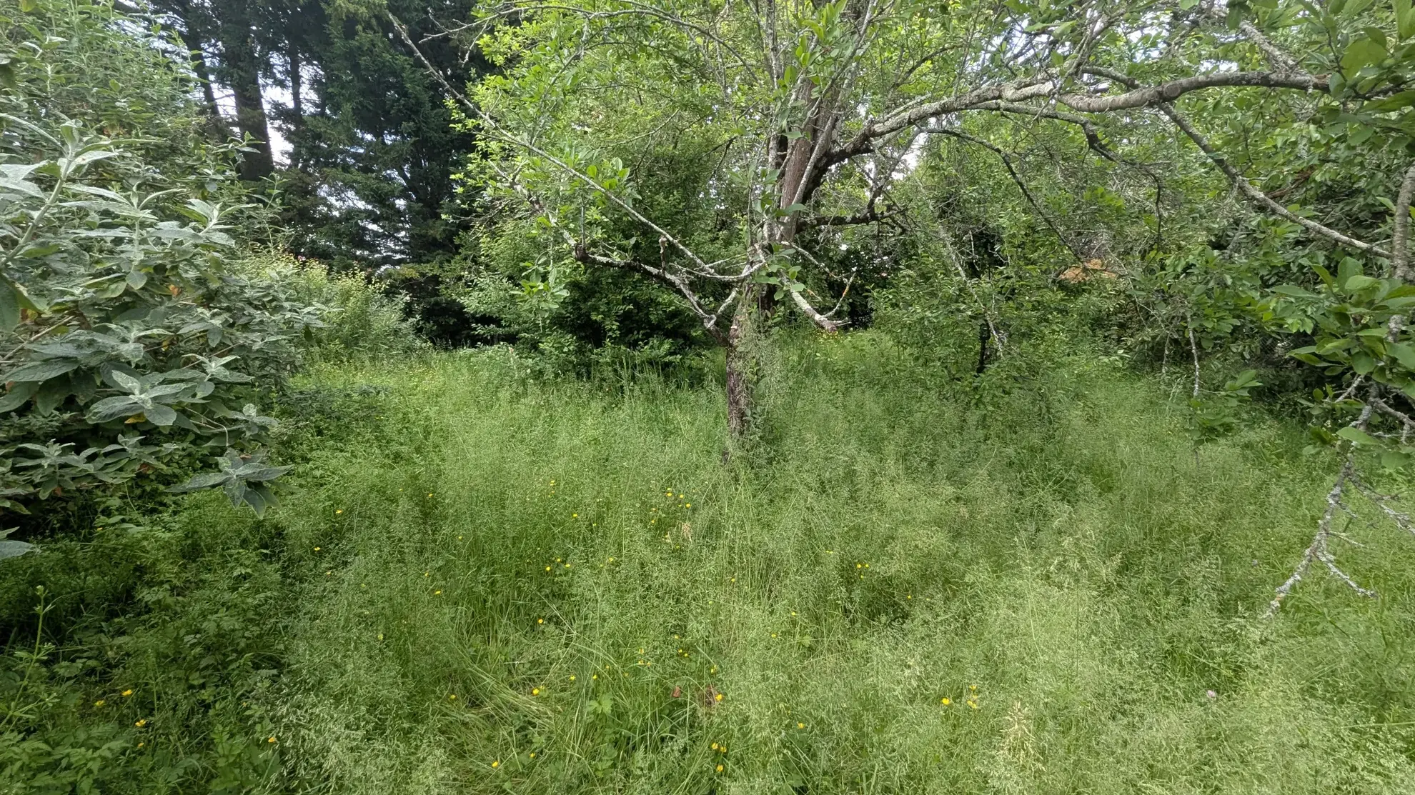 Terrain constructible de 766 m² au centre de Magné – Opportunité rare 