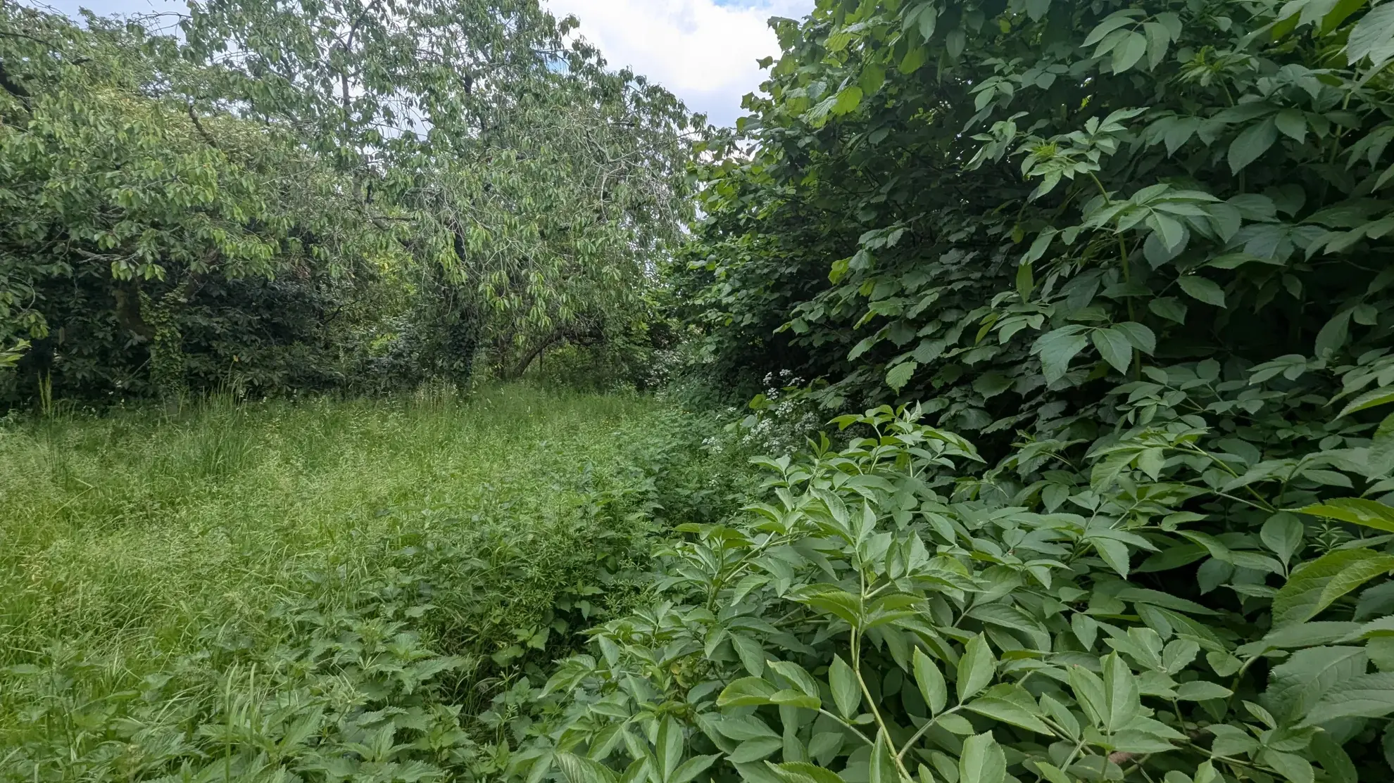 Terrain constructible de 766 m² au centre de Magné – Opportunité rare 