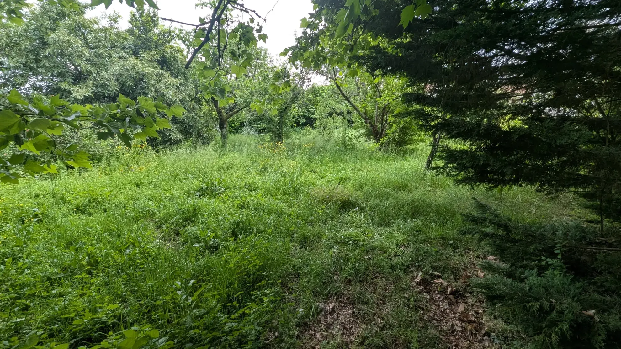 Terrain constructible de 766 m² au centre de Magné – Opportunité rare 