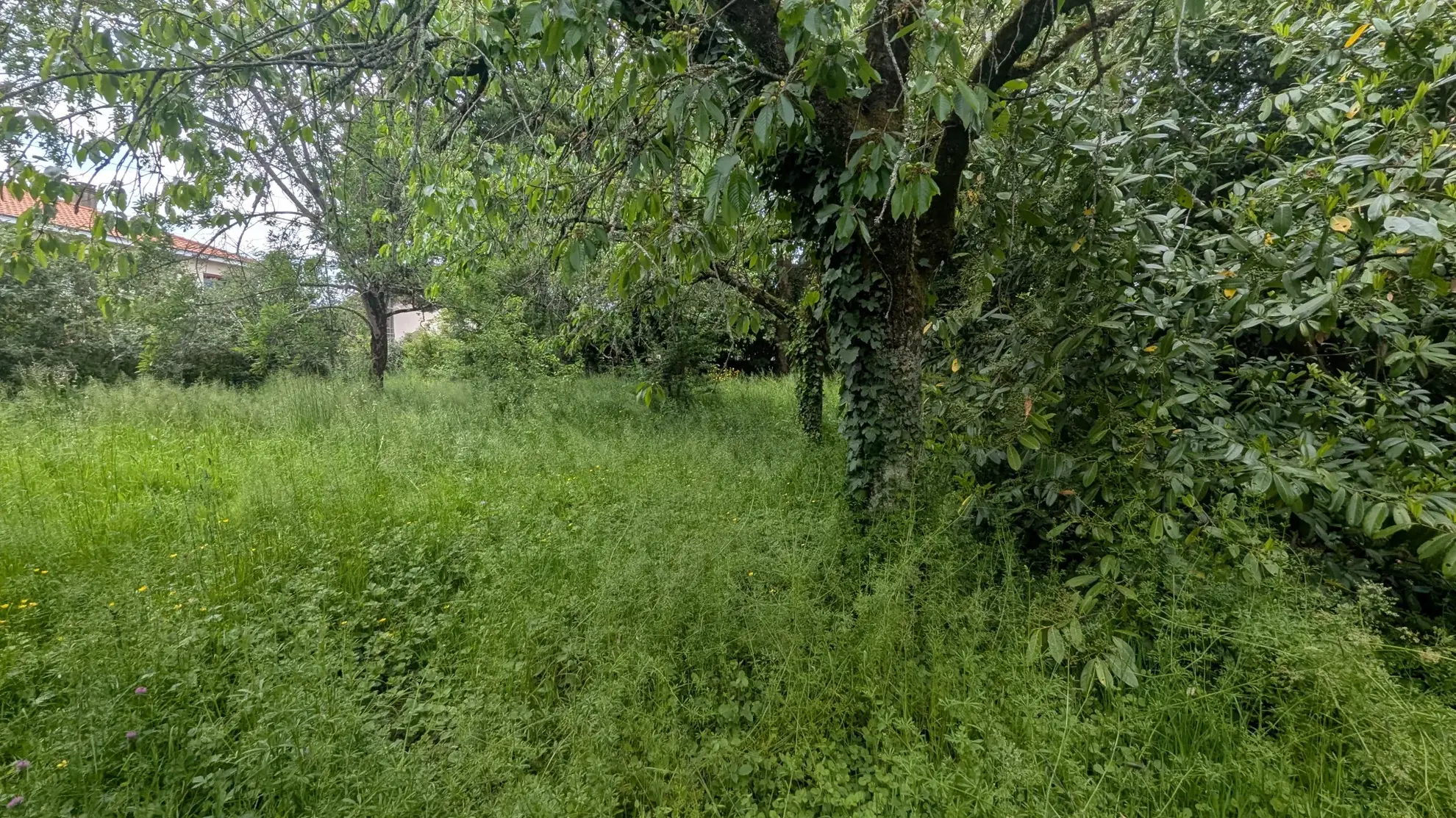 Terrain constructible de 766 m² au centre de Magné – Opportunité rare 