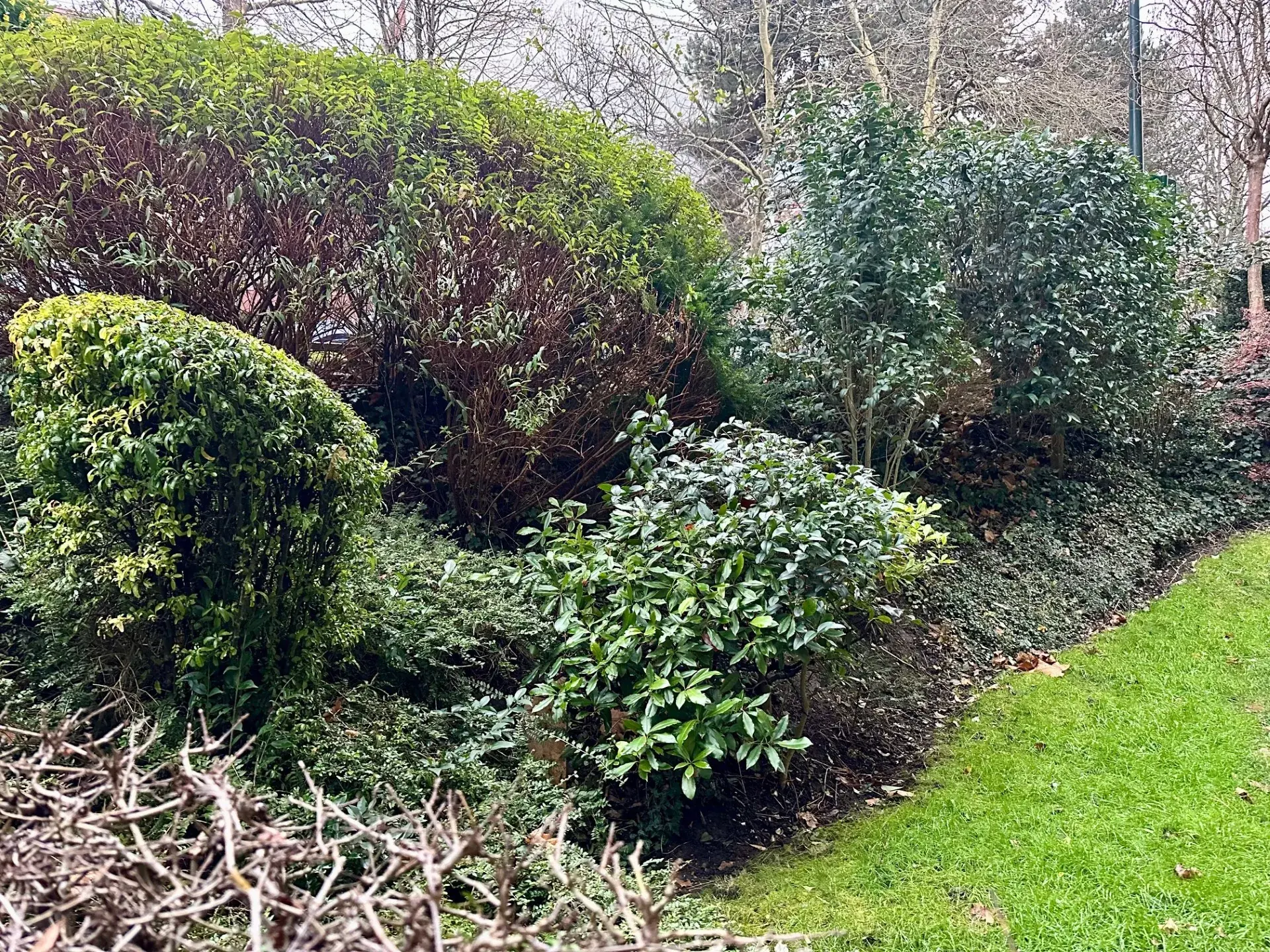 Studio de 35m² à Le Chesnay Rocquencourt avec loggia, dans résidence de standing 