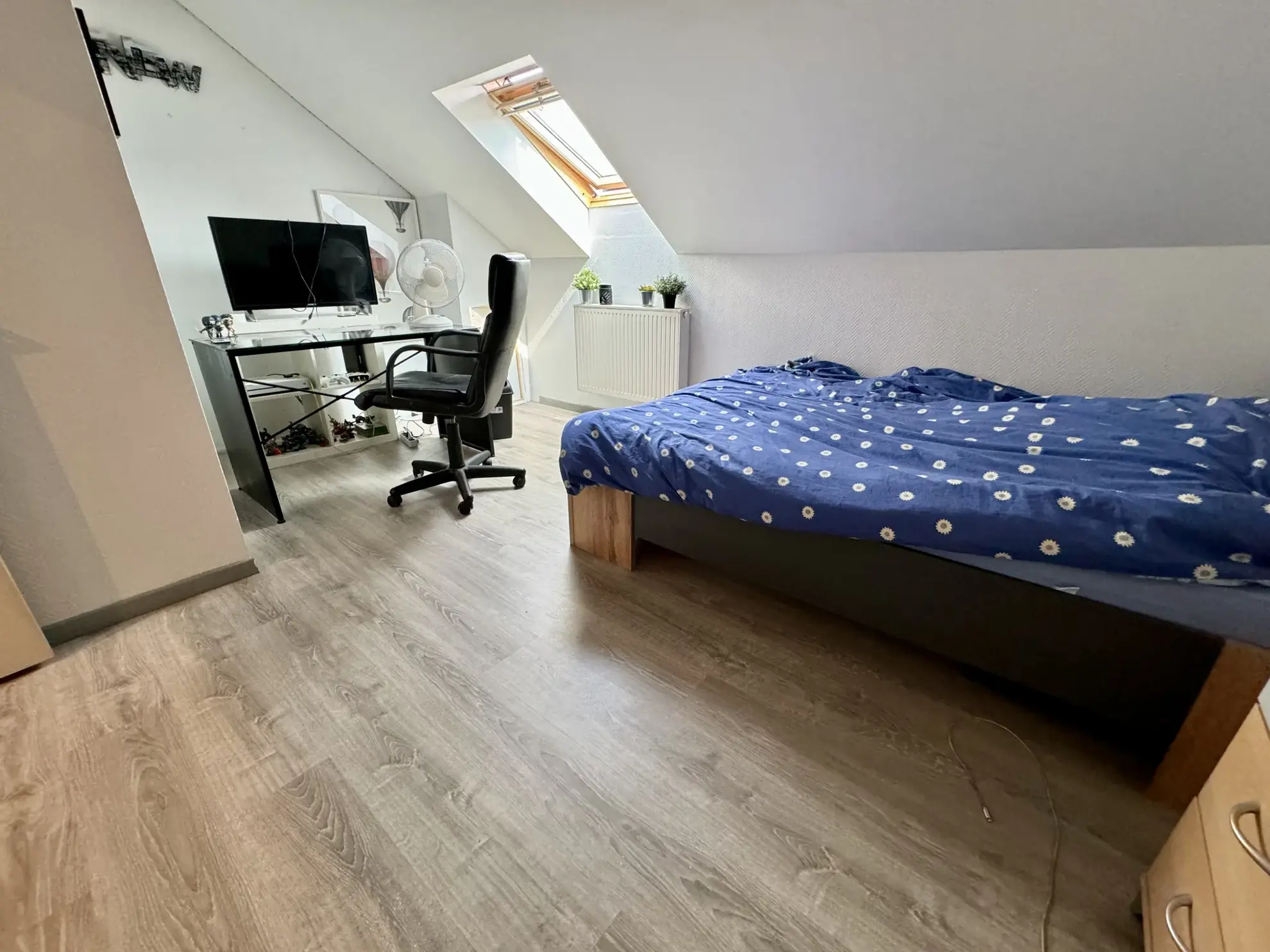 Maison avec appartement à vendre à Willerwald, 8 pièces, greenery, potentiel d'agrandissement 