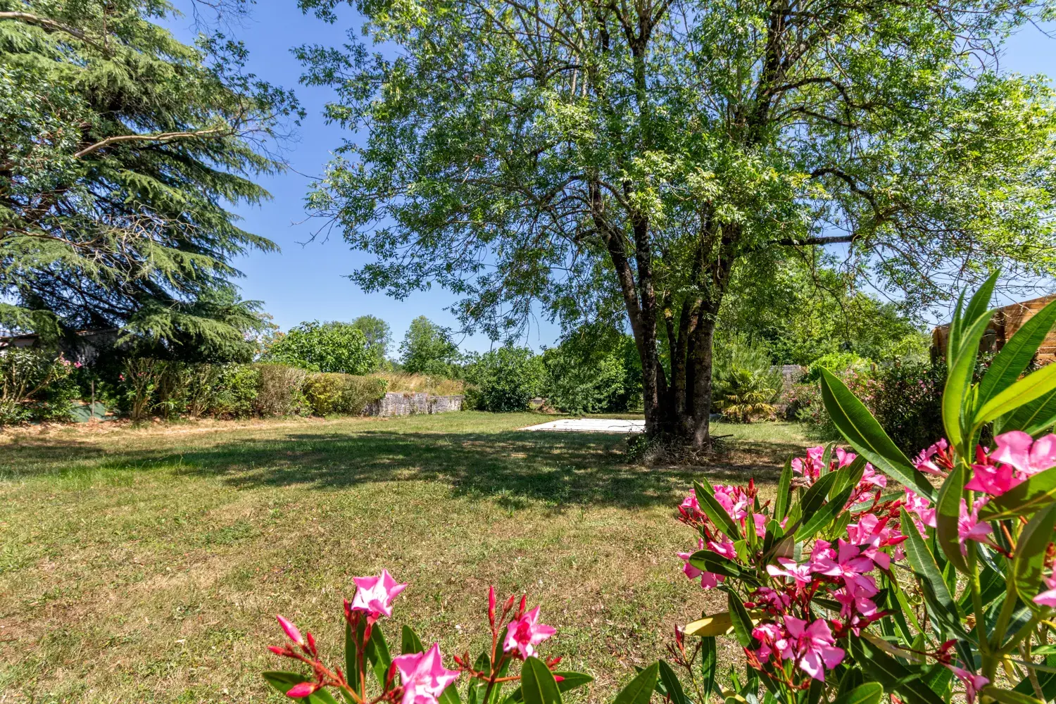 Maison 6 chambres avec piscine et grand terrain à Saintes, Chaniers 