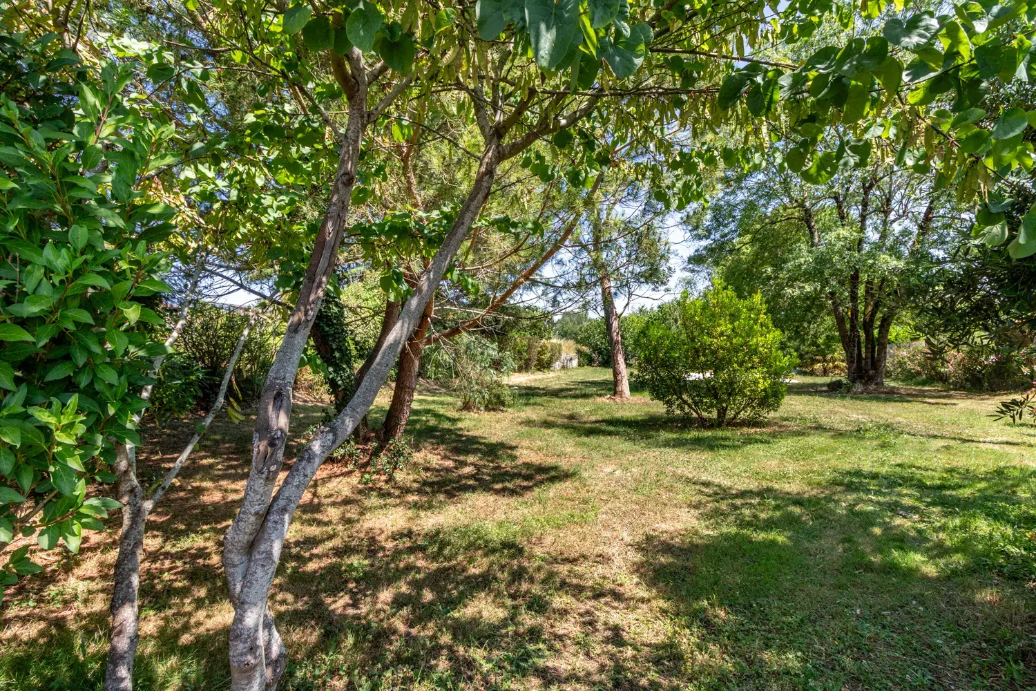 Maison 6 chambres avec piscine et grand terrain à Saintes, Chaniers 