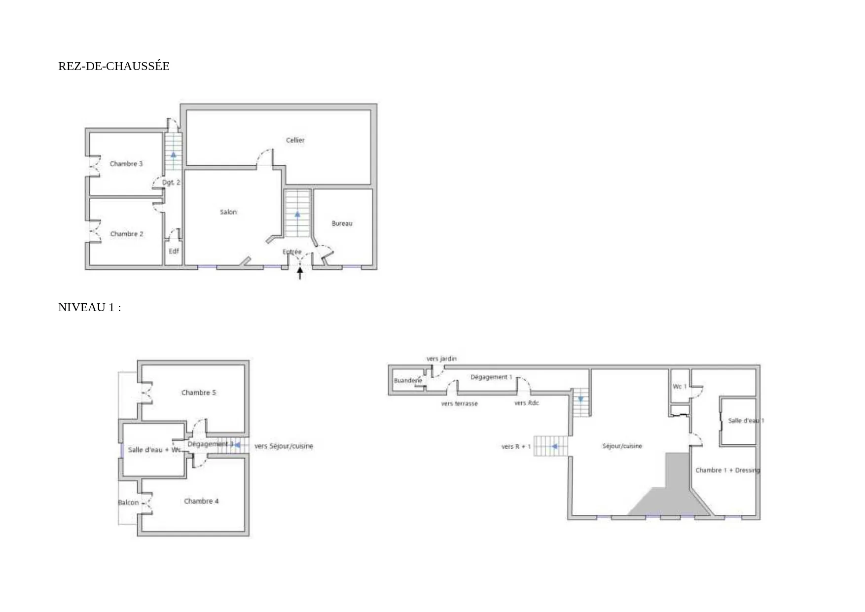Maison 6 chambres avec piscine et grand terrain à Saintes, Chaniers 