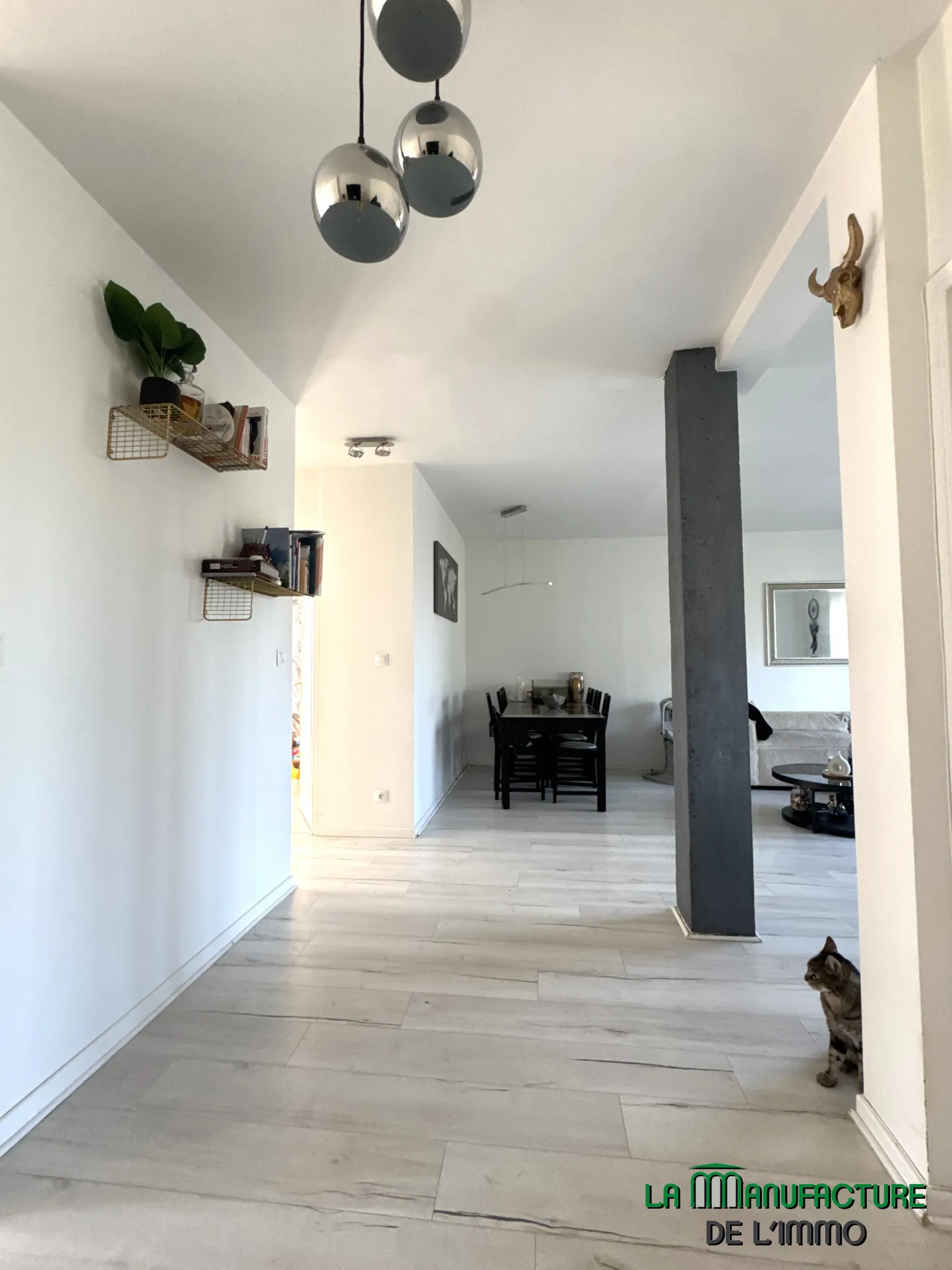 Appartement F3 avec balcon et cave à Saint-Étienne - Portail Rouge 