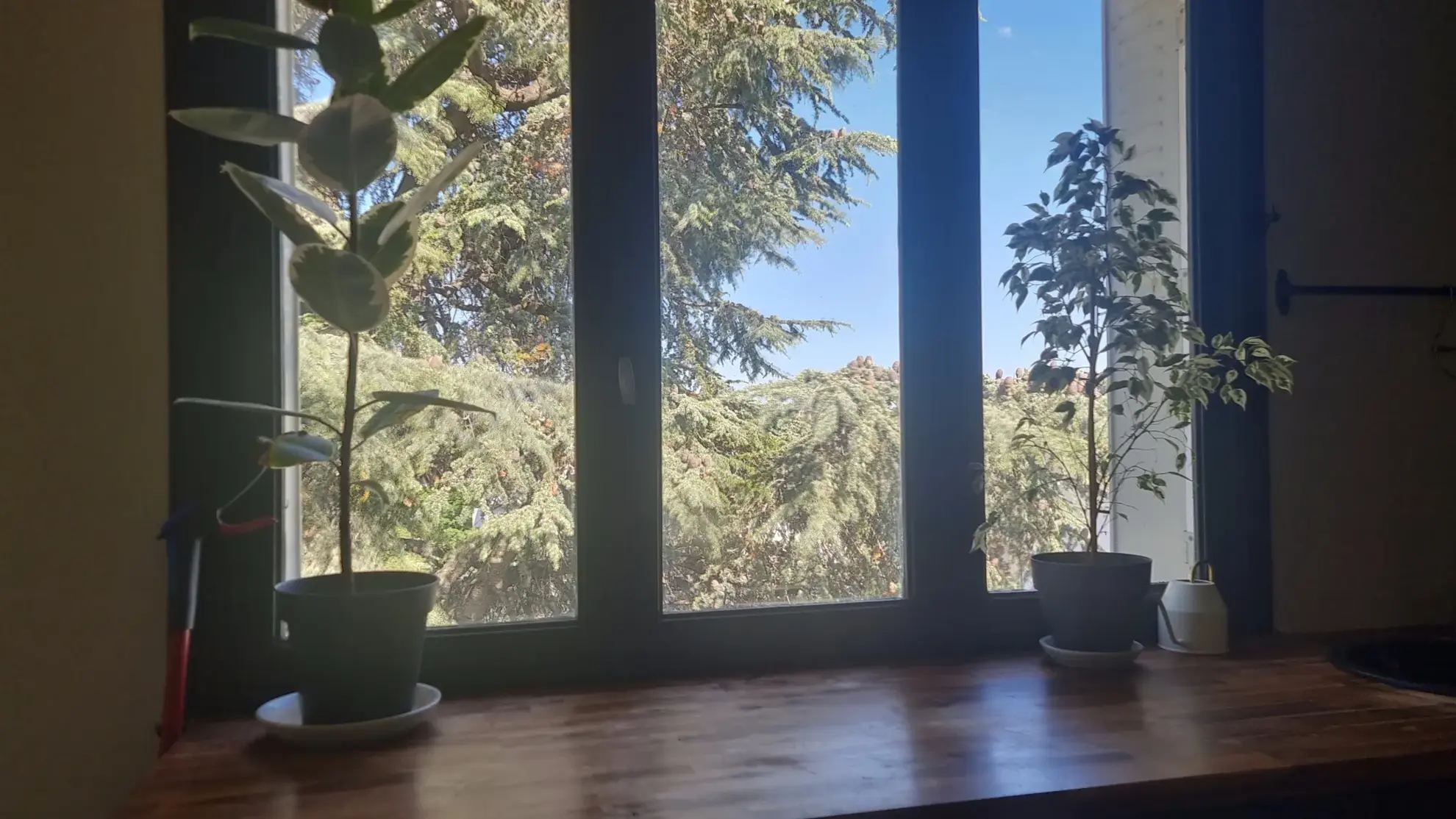 Achat appartement F3 lumineux dernier étage à Chamalières 