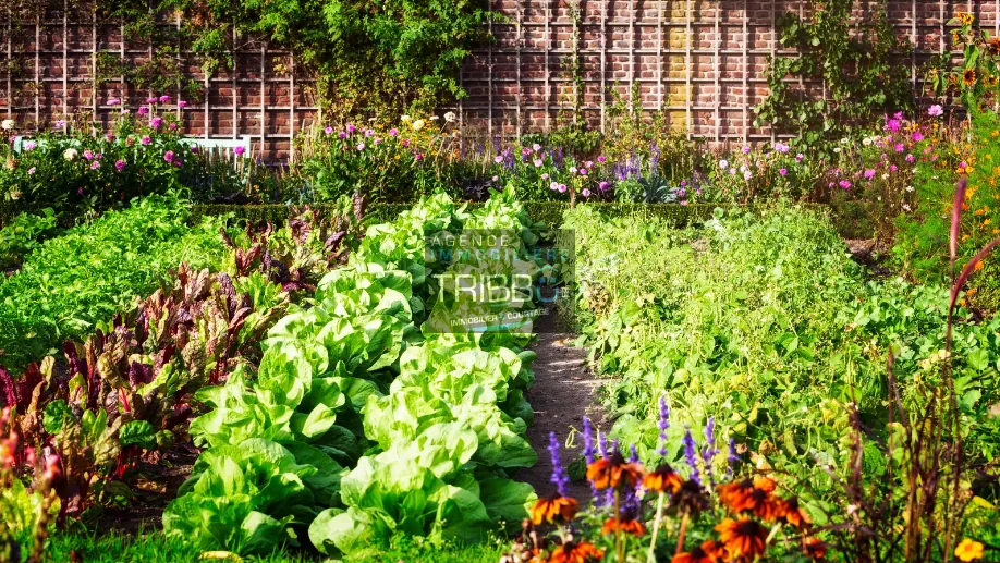 Terrain constructible de 217 m² à Thuir avec équipements et proche centre-ville