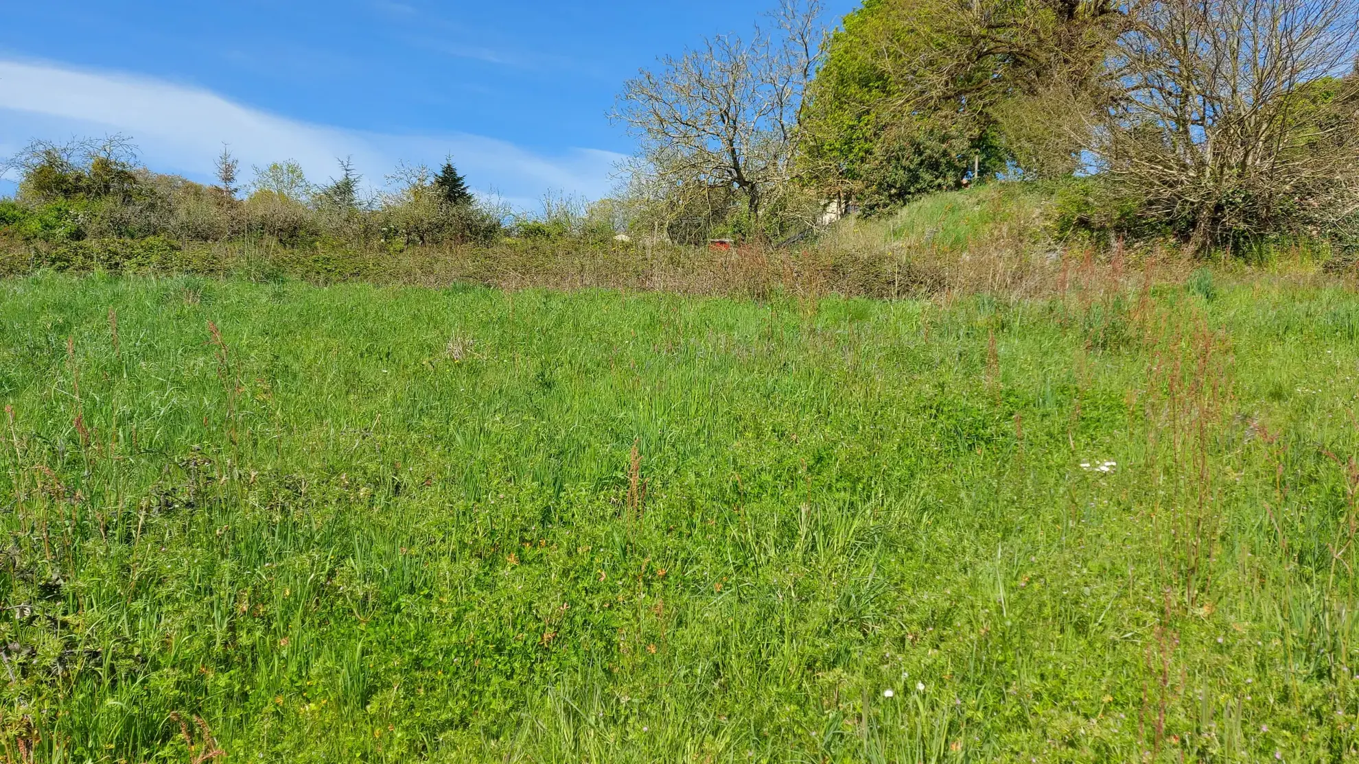Terrain de 3538 m² proche des Herbiers, partie constructible, idéal pour projet immobilier 