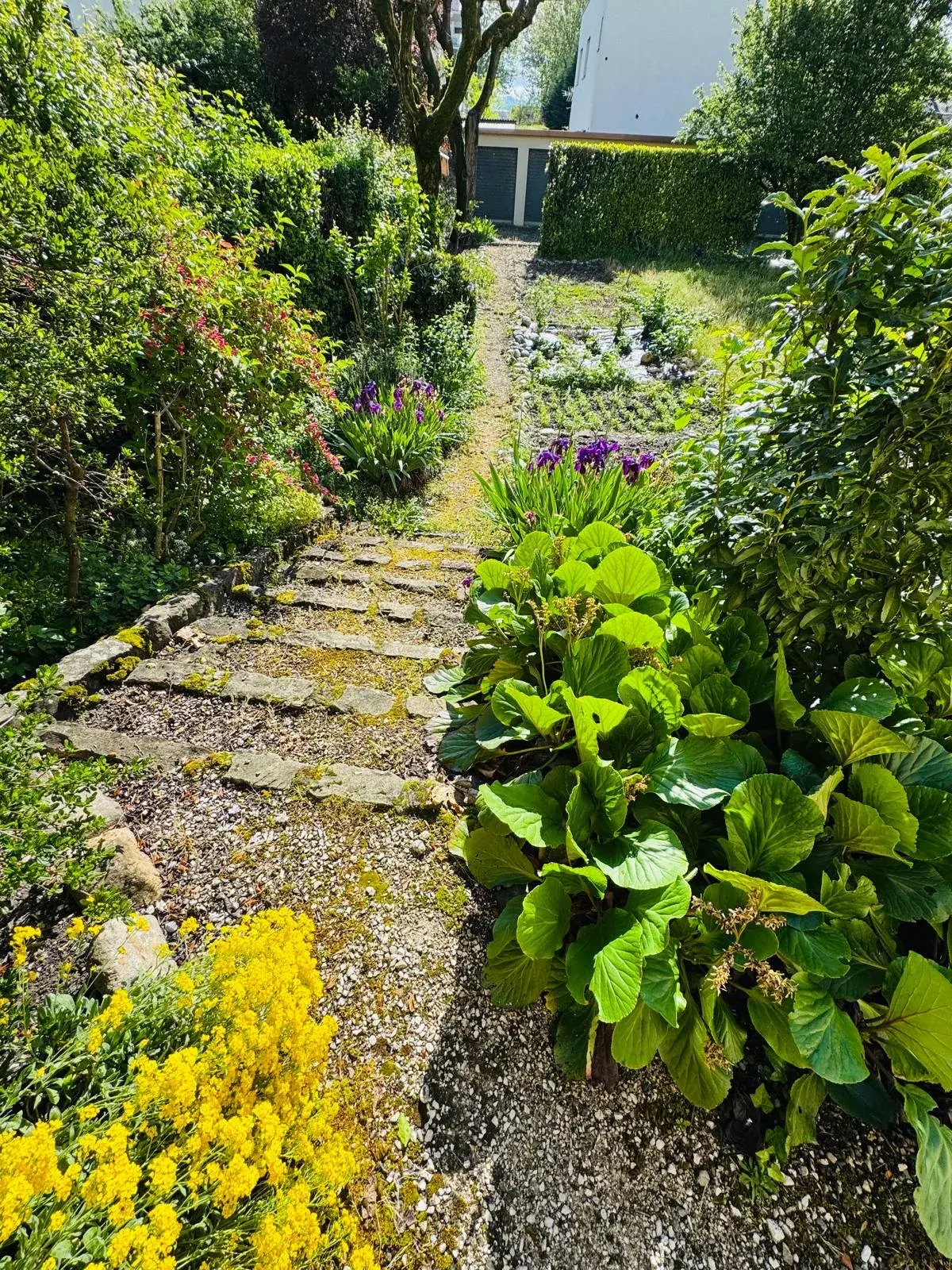 Appartement T4 avec grand jardin à Échirolles – Rare opportunité 