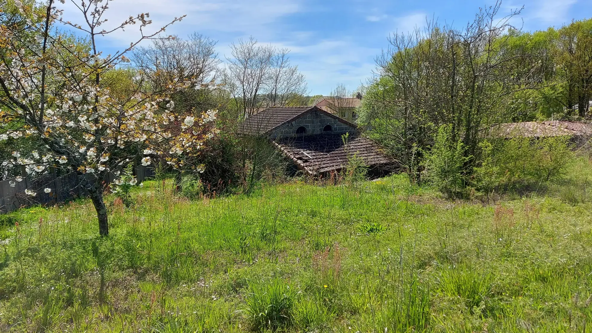 Terrain de 3538 m² proche des Herbiers, partie constructible, idéal pour projet immobilier 