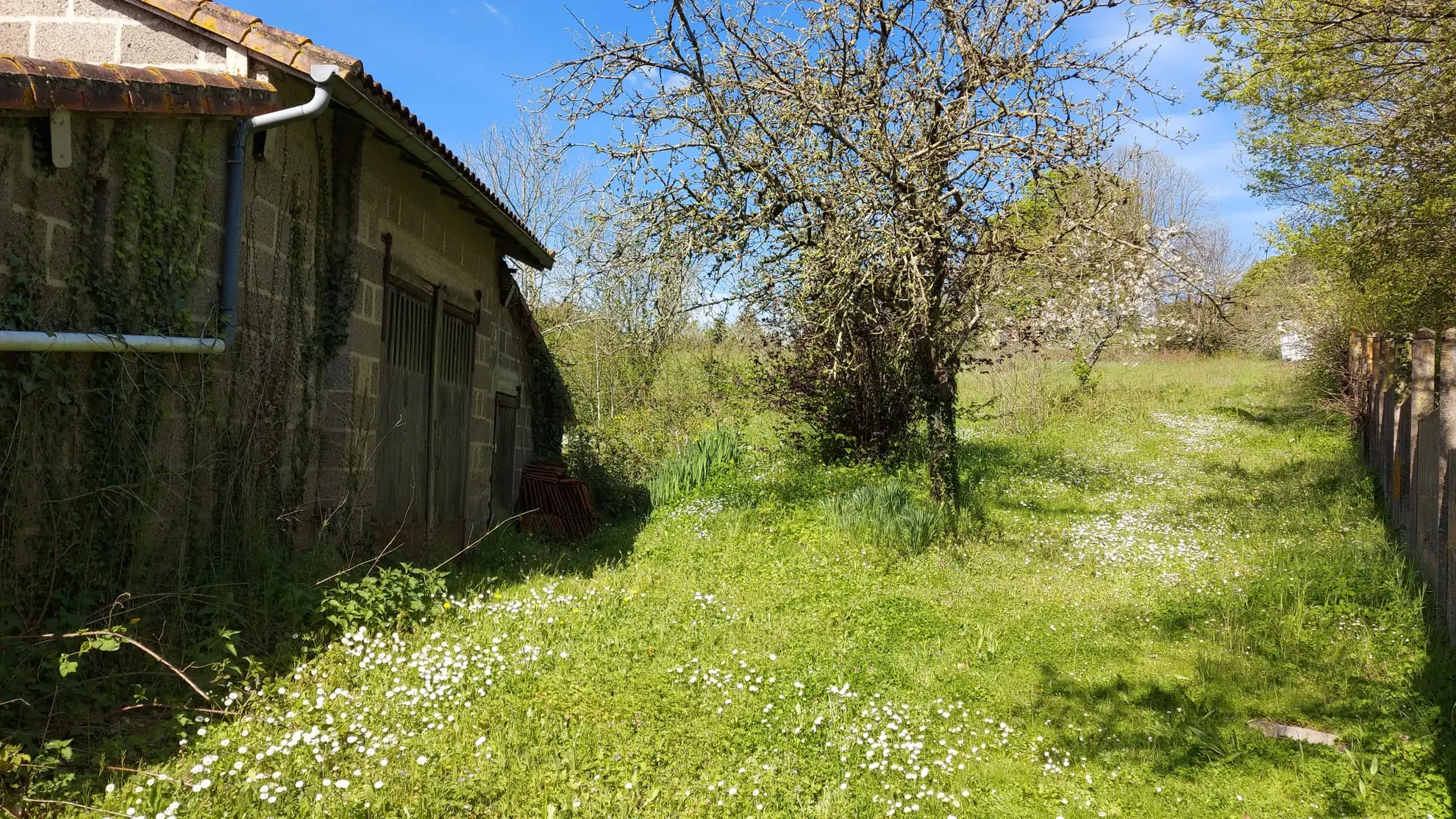 Terrain de 3538 m² proche des Herbiers, partie constructible, idéal pour projet immobilier