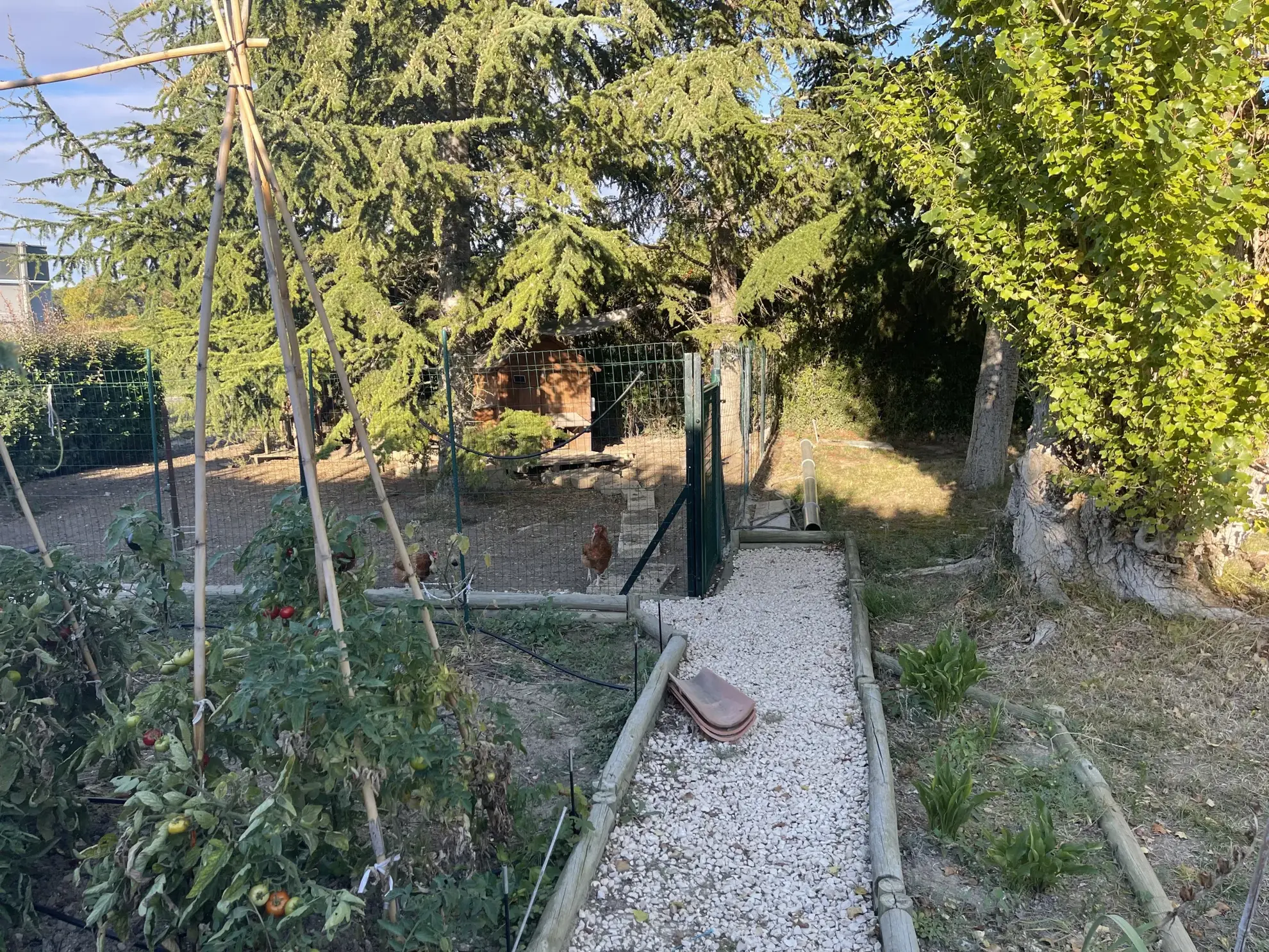 Magnifique maison de 174 m² avec piscine, pool house et grand terrain à Gaja et Villedieu 