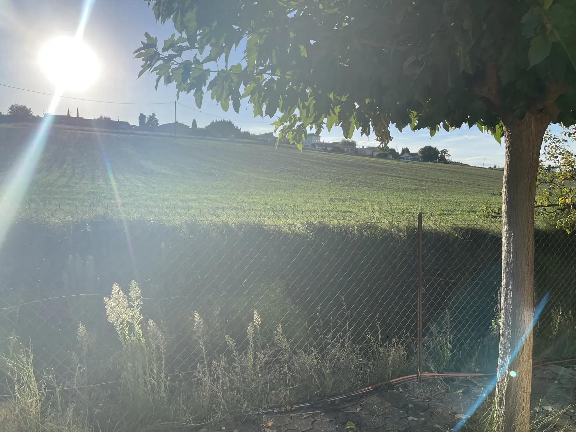 Magnifique maison de 174 m² avec piscine, pool house et grand terrain à Gaja et Villedieu 