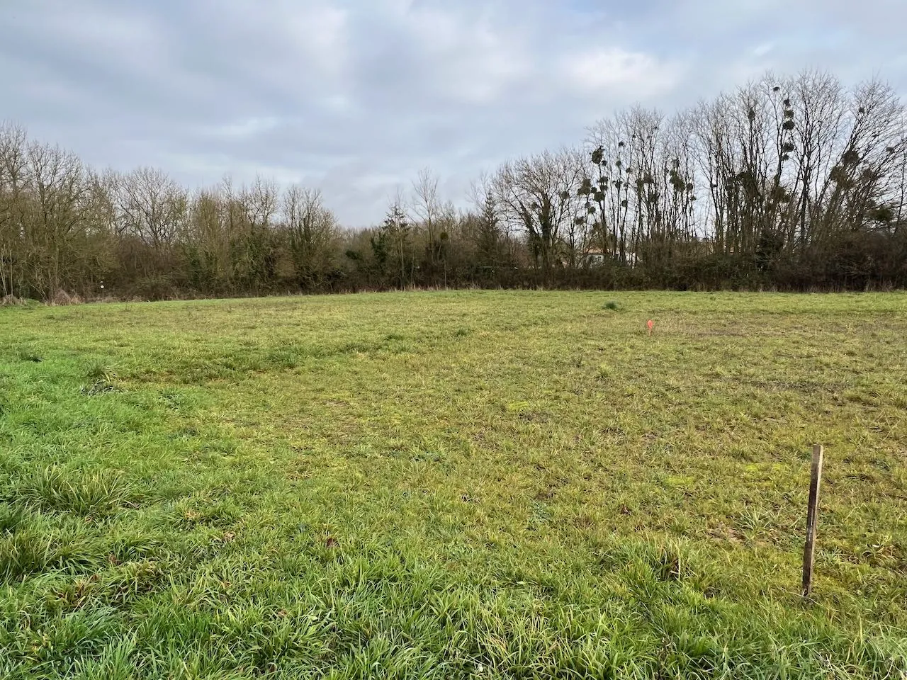 Terrain constructible de 339 m² à Saint Hermine en Vendée