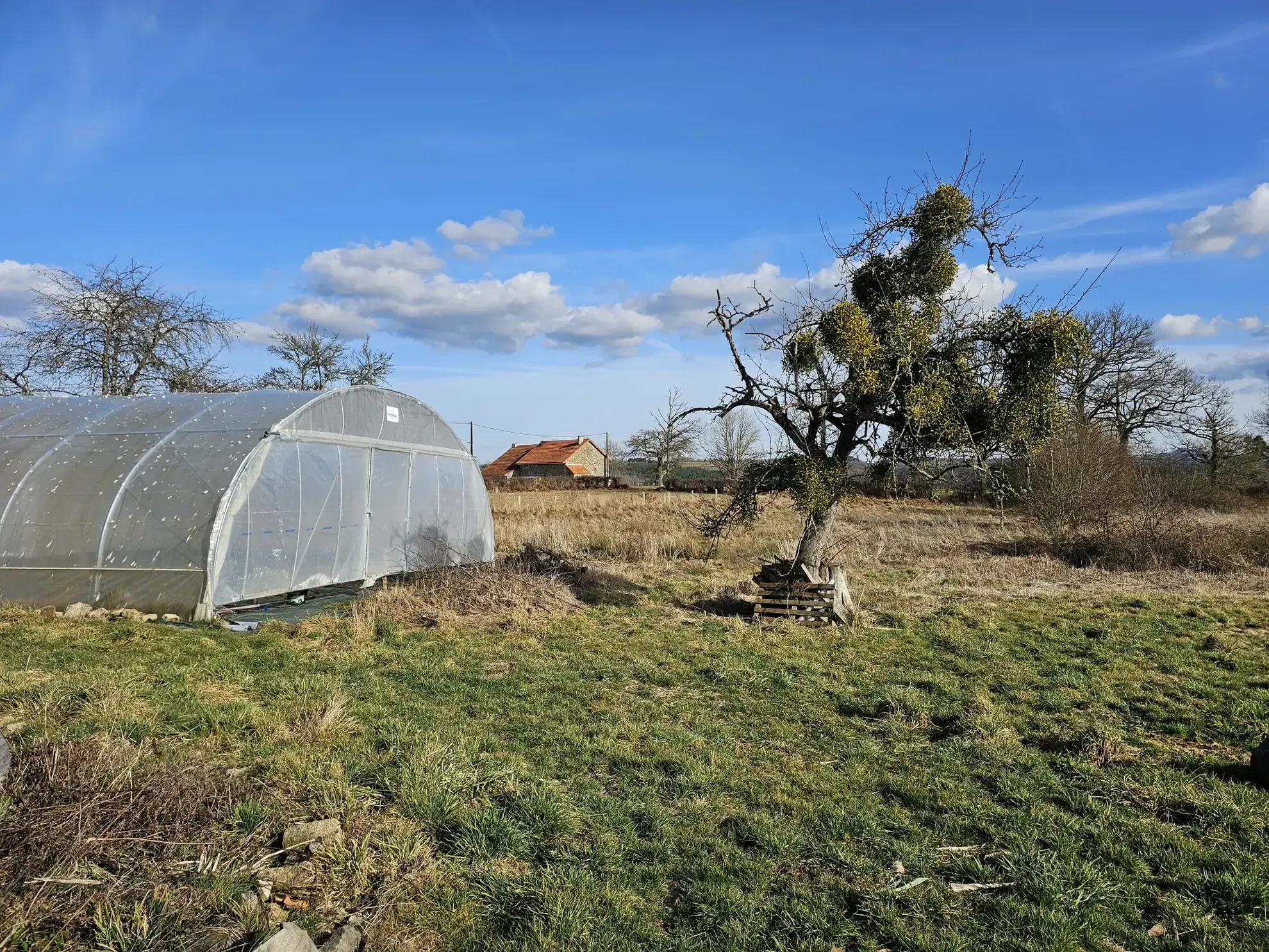 Belle maison 3 chambres avec terrasse, grange et terrain dans les Combrailles 