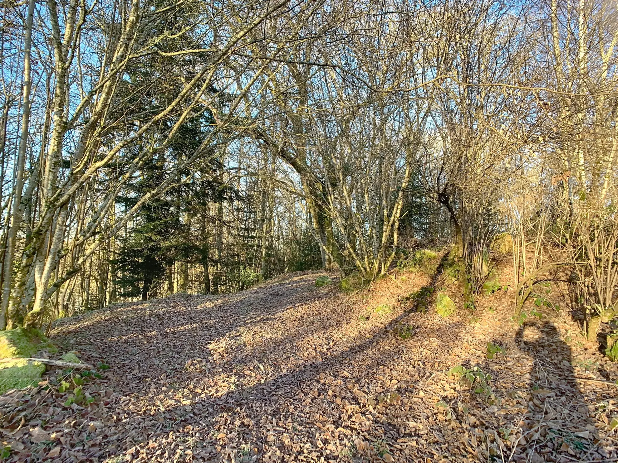 Maison en pierre à vendre avec terrain et grandes granges en Creuse 