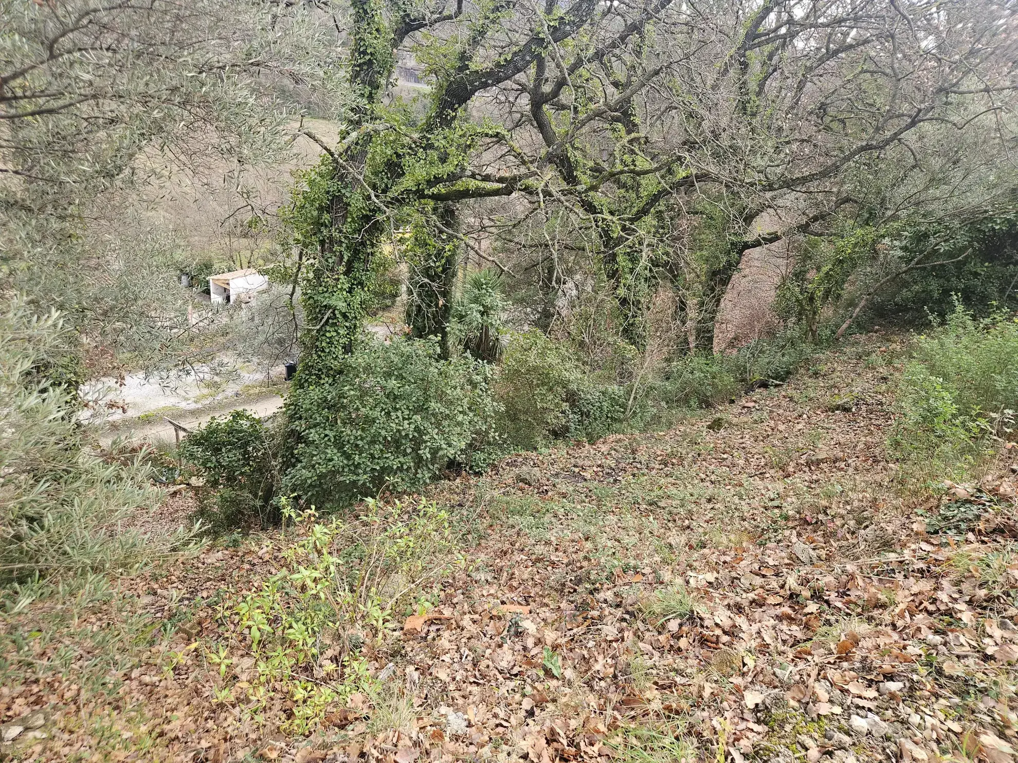 Terrain à bâtir de 430 m² à Poujols - Idéal pour résidence paisible 