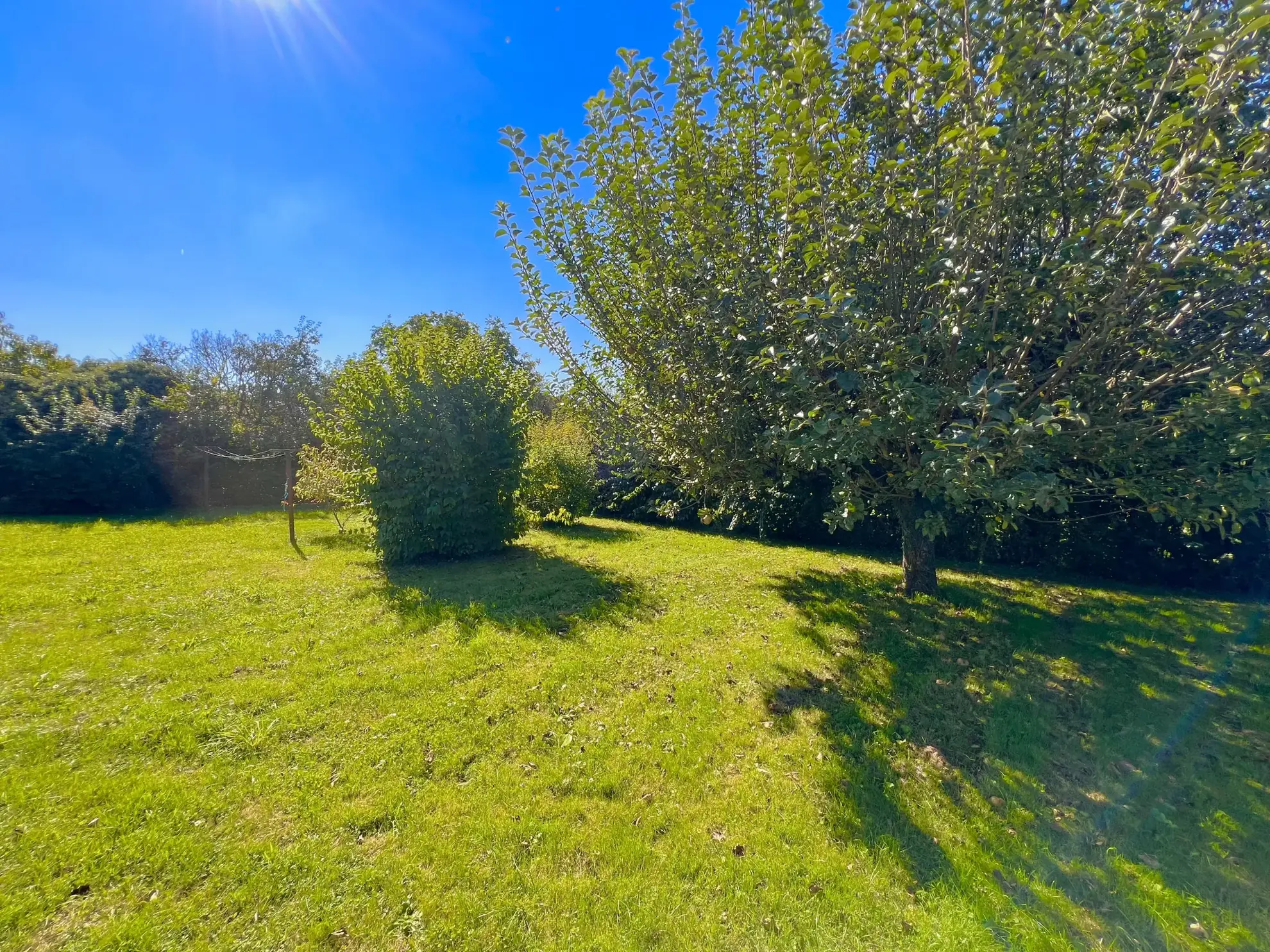 Maison en pierre de 220 m² avec terrasse et garage à Mercey le Grand 