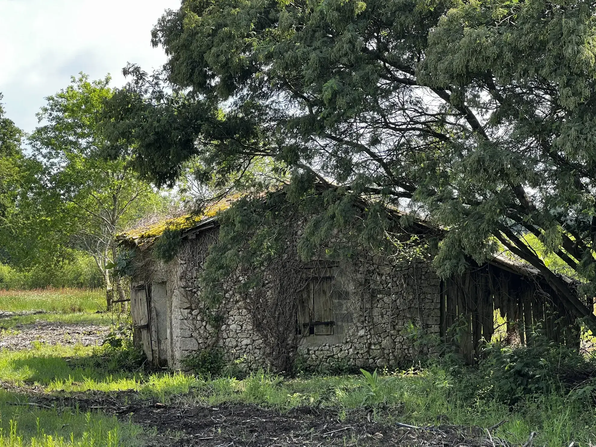 Propriété rurale à rénover avec dépendances à Gajac - 8,39 ha de terres 