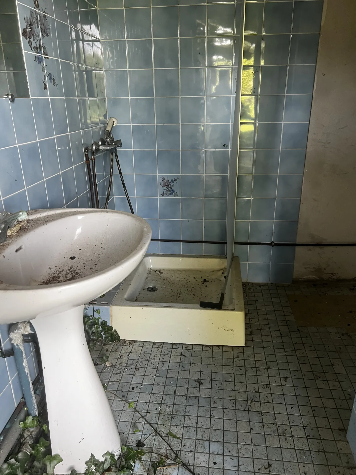 Propriété rurale à rénover avec dépendances à Gajac - 8,39 ha de terres 