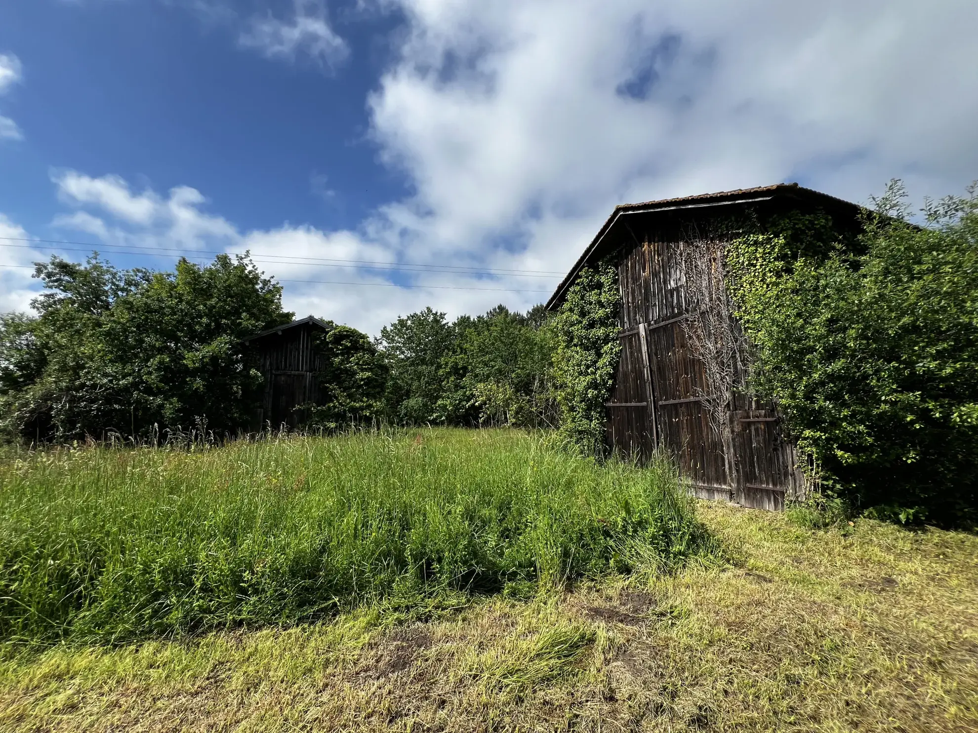 Propriété rurale à rénover avec dépendances à Gajac - 8,39 ha de terres 