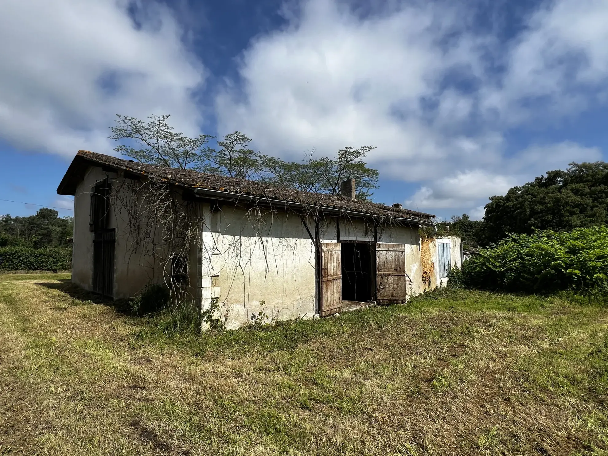 Propriété rurale à rénover avec dépendances à Gajac - 8,39 ha de terres 
