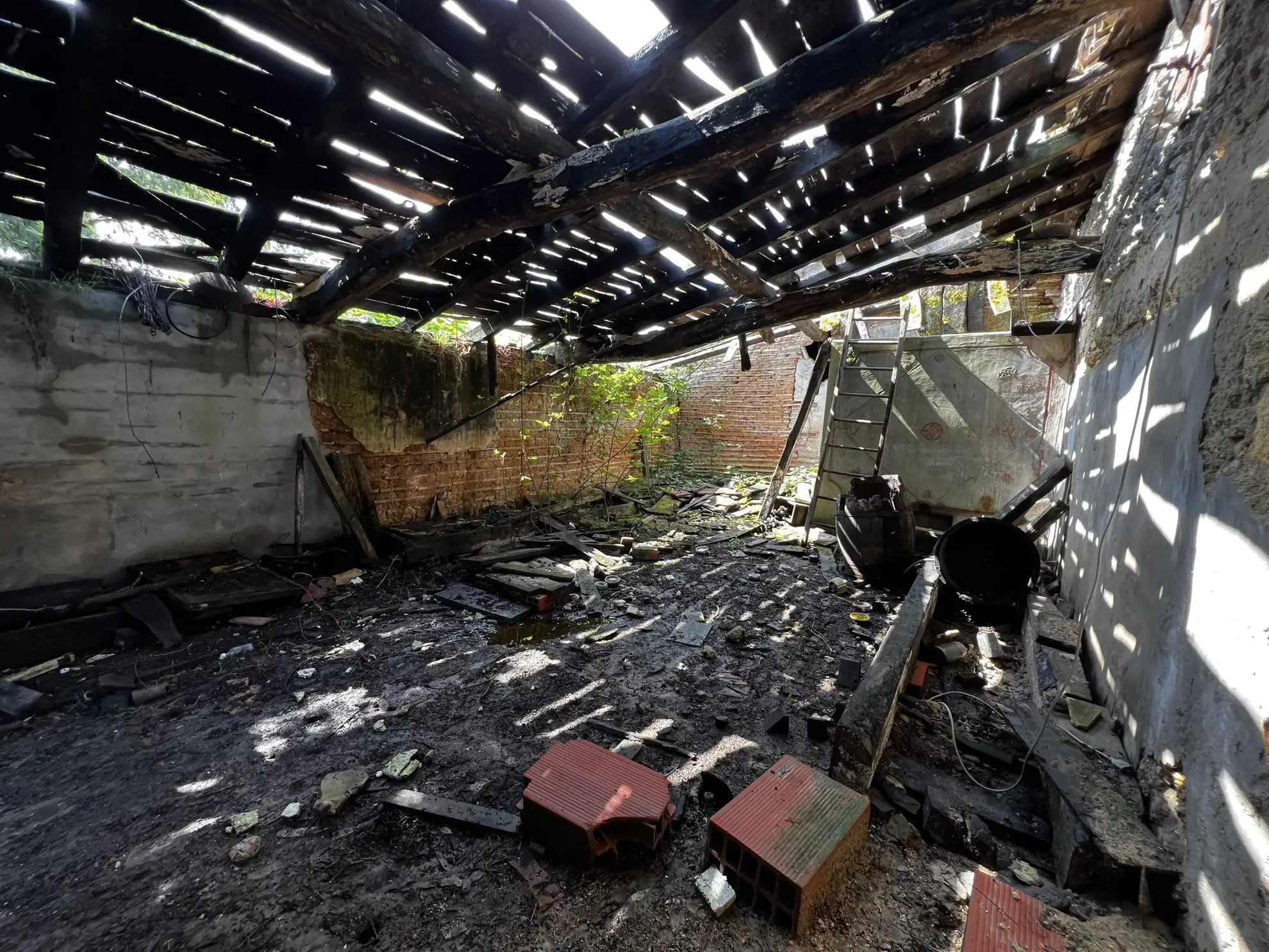 Propriété rurale à rénover avec dépendances à Gajac - 8,39 ha de terres 