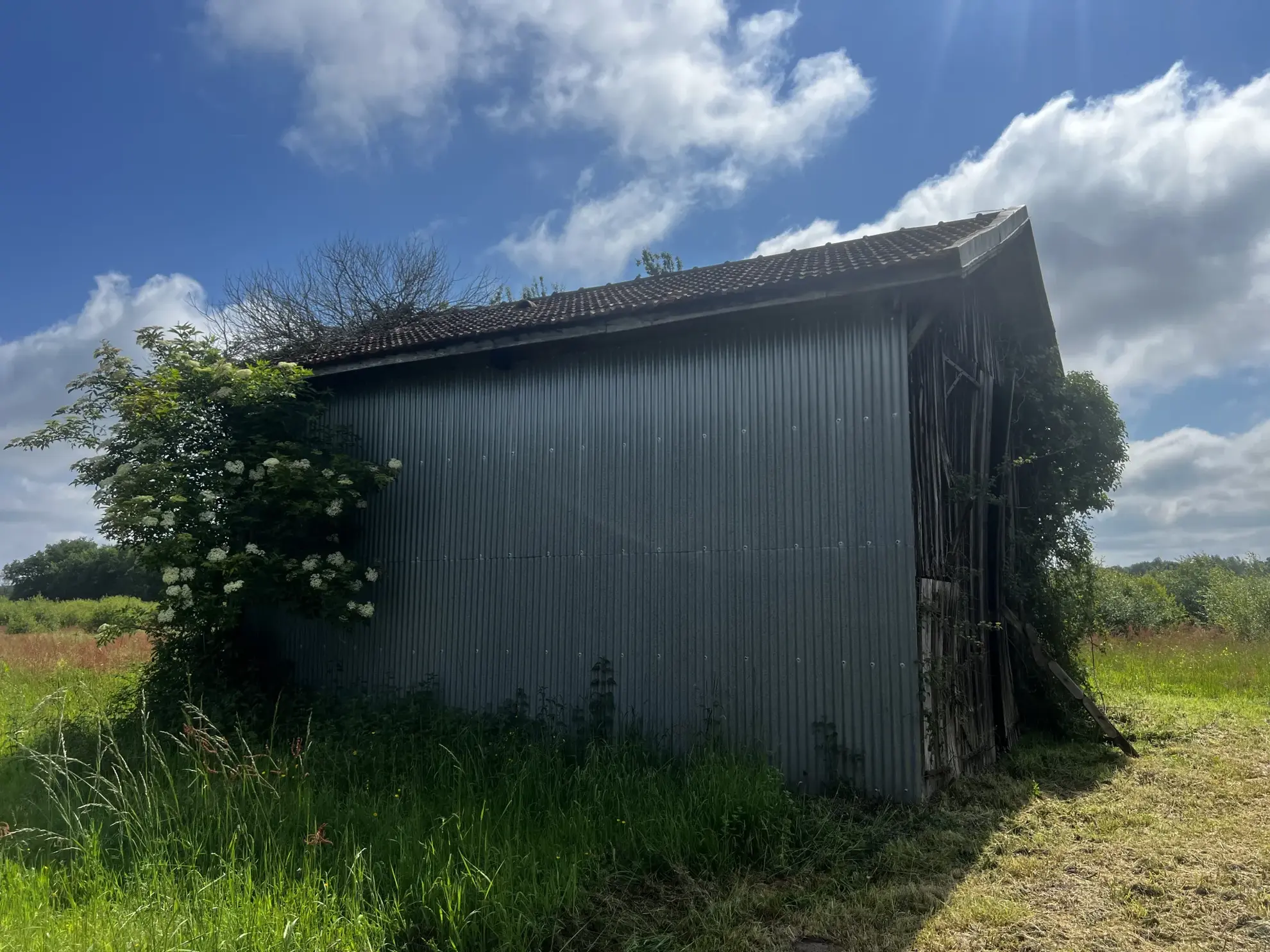 Propriété rurale à rénover avec dépendances à Gajac - 8,39 ha de terres 