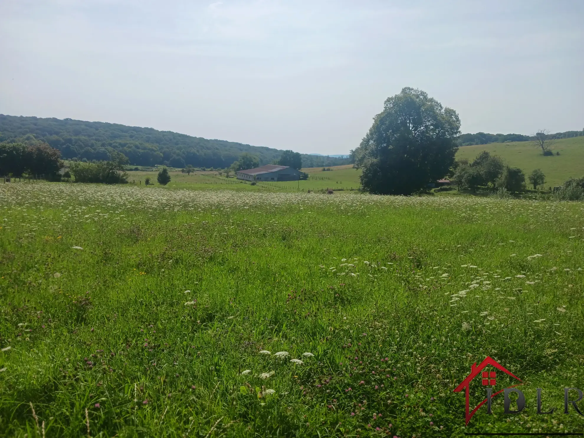 Maison 129 m2 à Saint-Rémy-en-Comté avec grand terrain et vue remarquable 