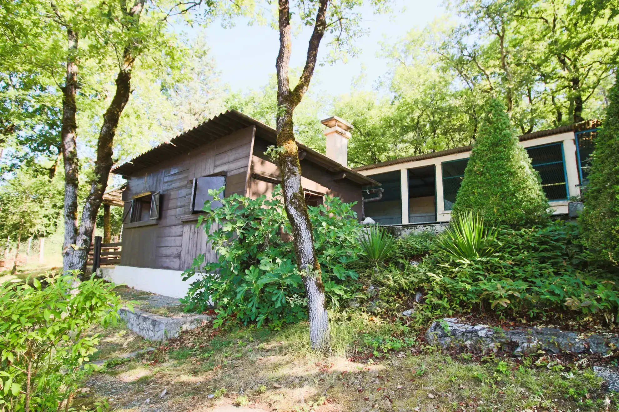 Maison familiale avec grand parc arboré à Montayral - Opportunité à saisir 