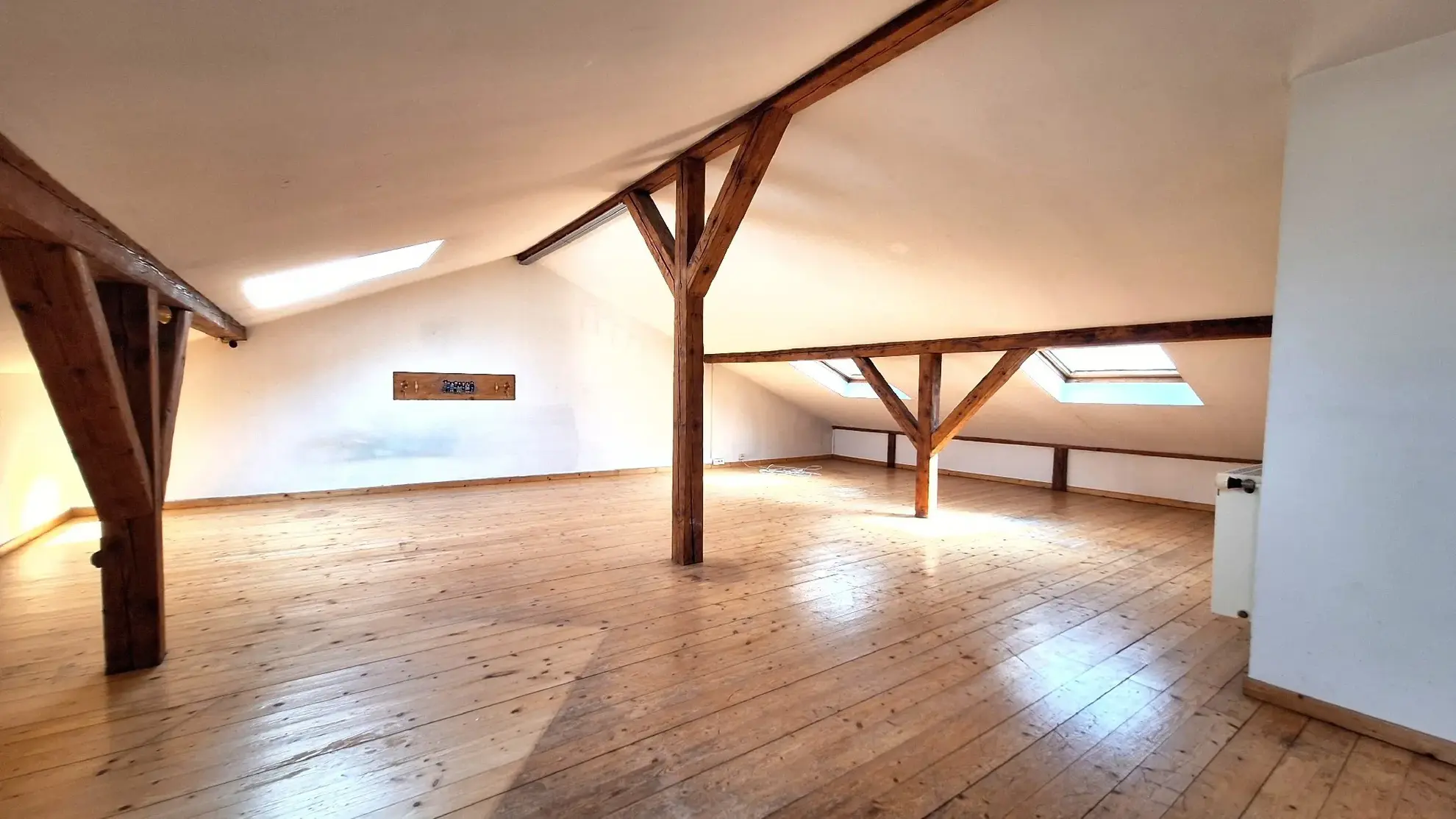 Dossier espace et potentiel : Duplex à Mulhouse de 118m² 