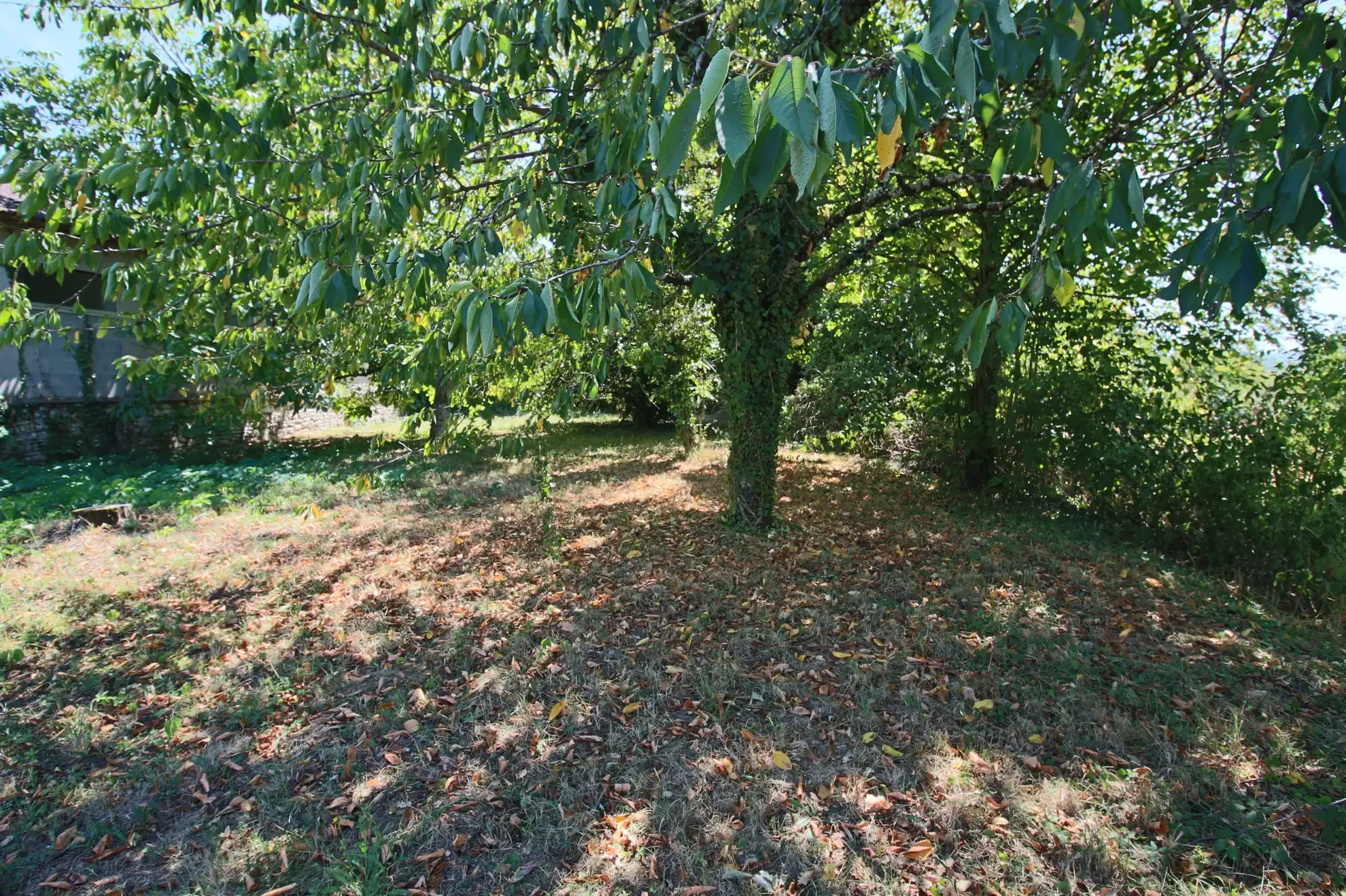 Charmante maison avec grand terrain à Puy-l’Évêque - 5 chambres, proche commerces 