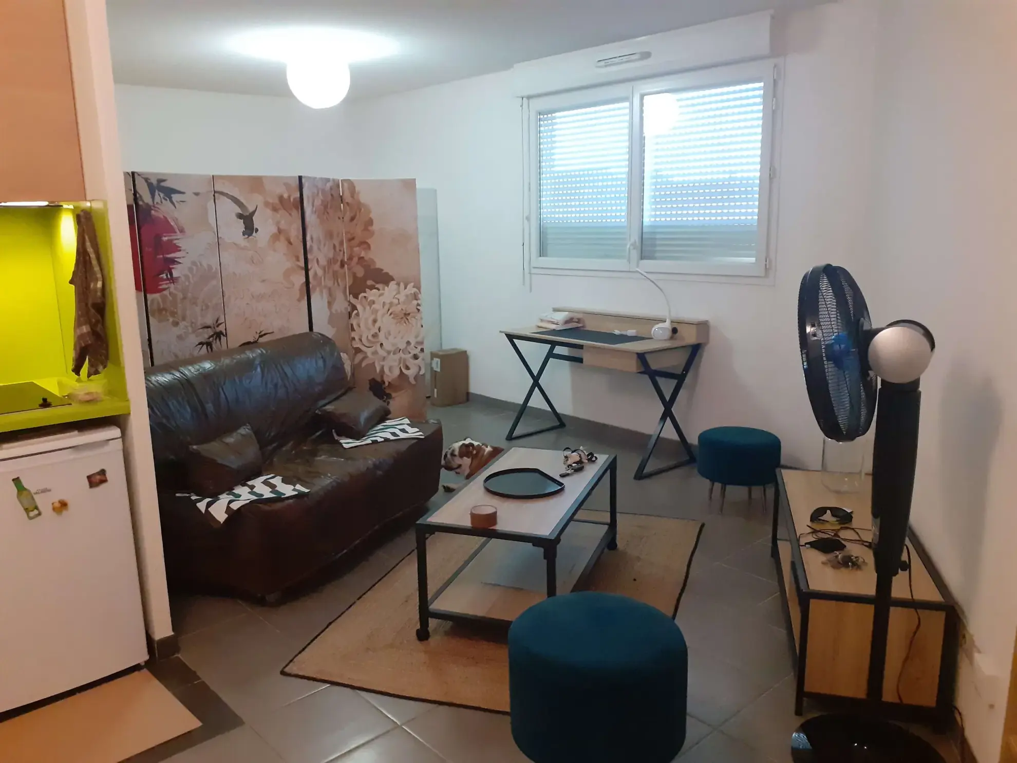 Studio à vendre à Castelnau-le-Lez avec parking – 35 m², dernier étage, proximité commerces