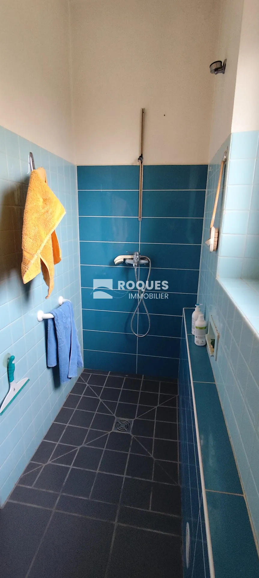 Grande maison dans un parc arboré avec vue sur Larzac à Millau 