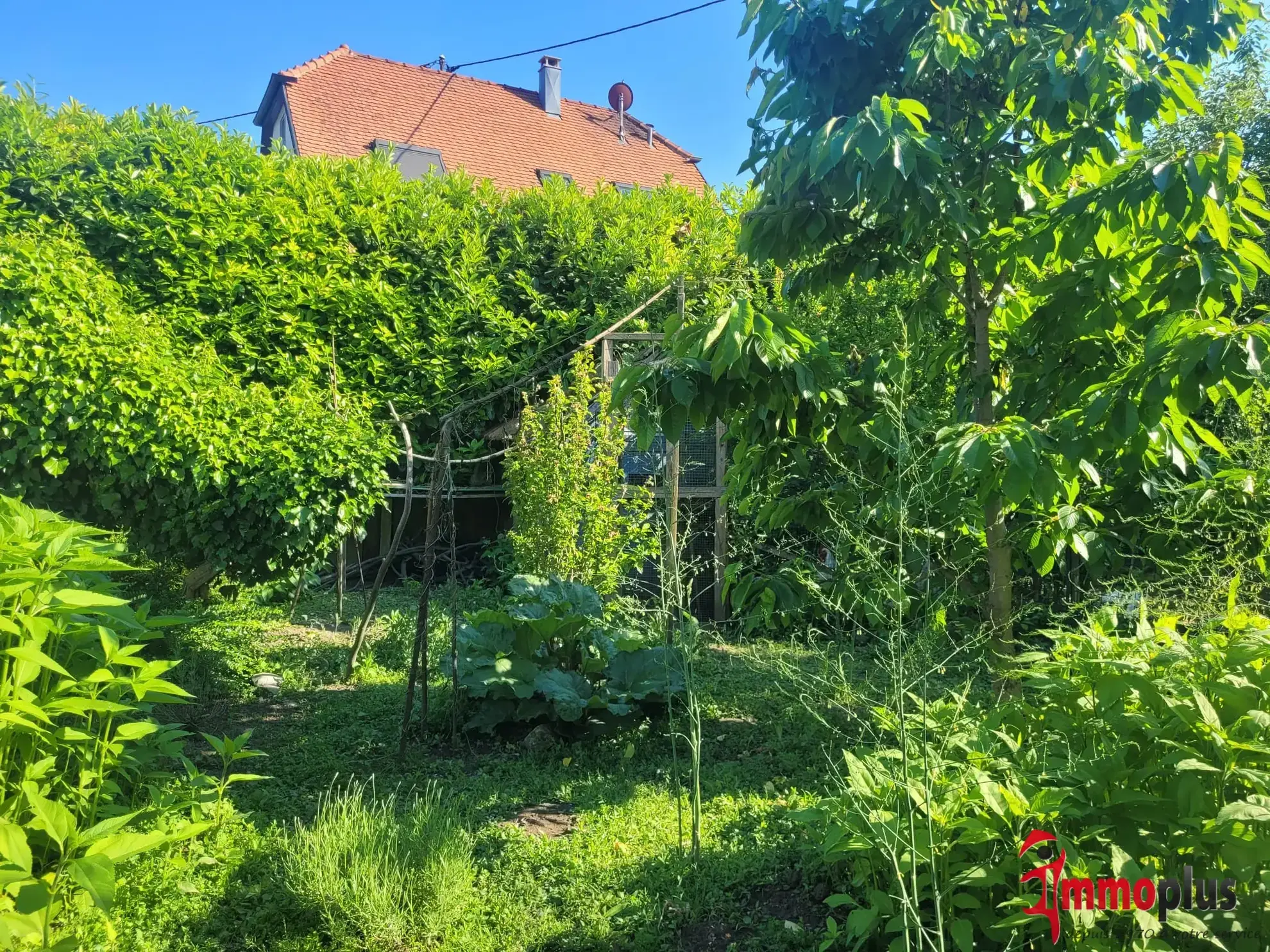 Maison à rénover à Village-Neuf – 90 m², proche frontières et aéroport 