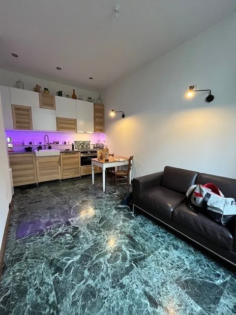 Appartement rénové de 31 m² à Lyon 7 proche Parc Sergent Blandan - Investissement idéal 