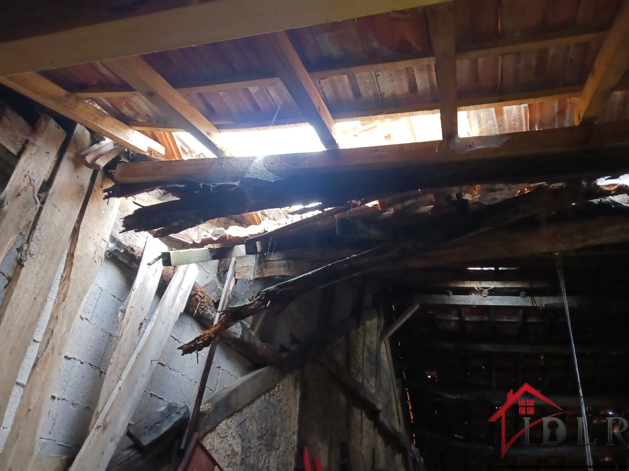 À vendre à Gevigney-et-Mercey : maison de 58m² avec dépendances et jardin, opportunité d'investissement 