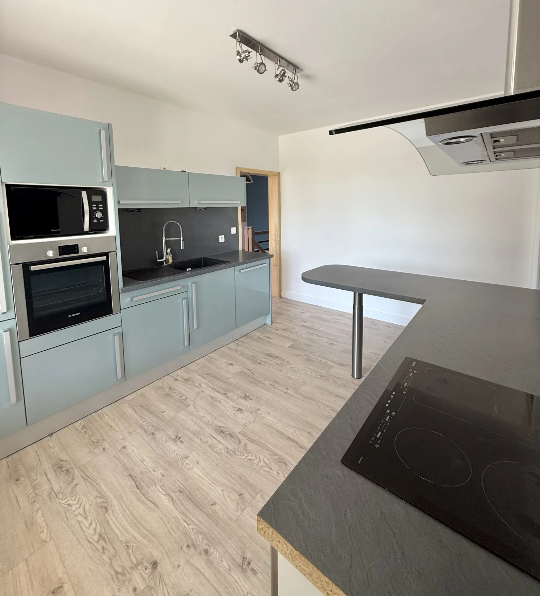 Maison contemporaine rénovée à Riberac avec 4 chambres et vue dégagée 