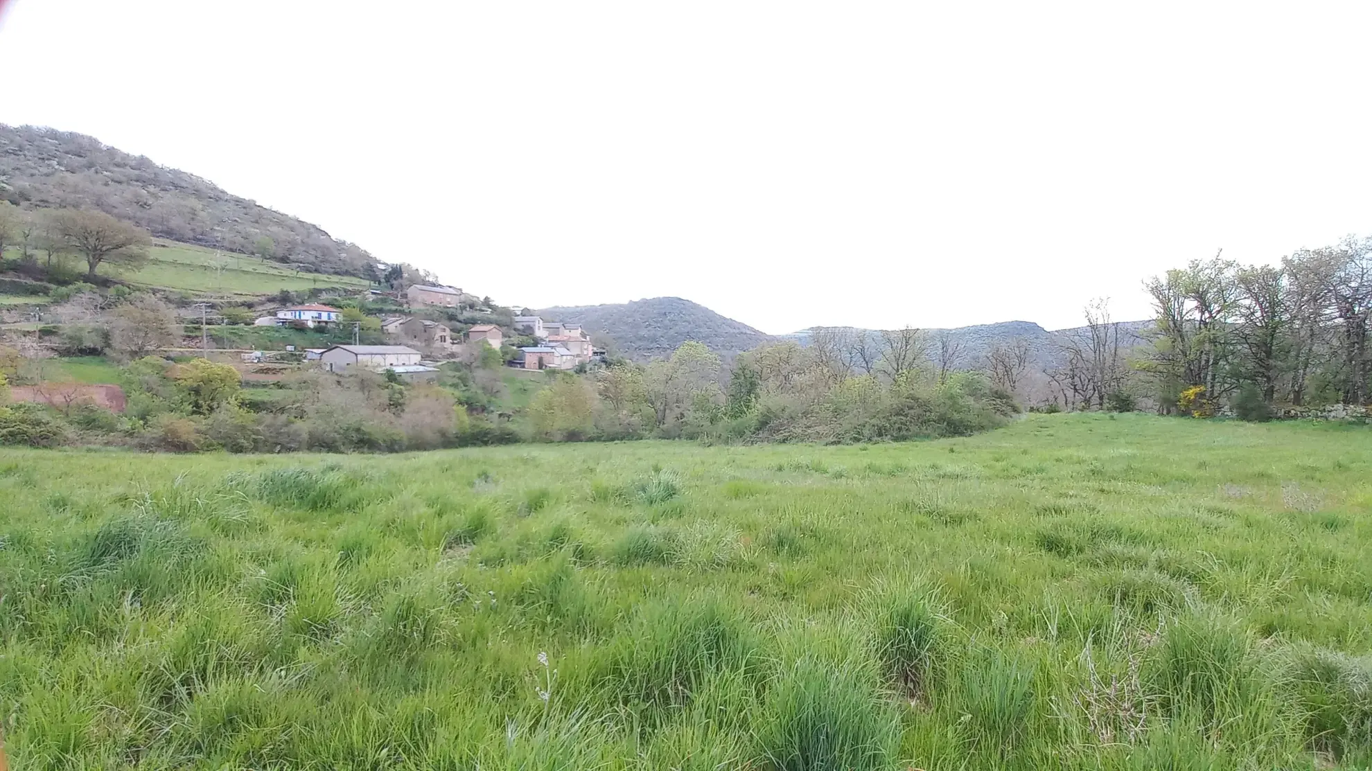 Terrain Agricole de 11 509 m² avec Hangar et Salle de Traite près de Millau