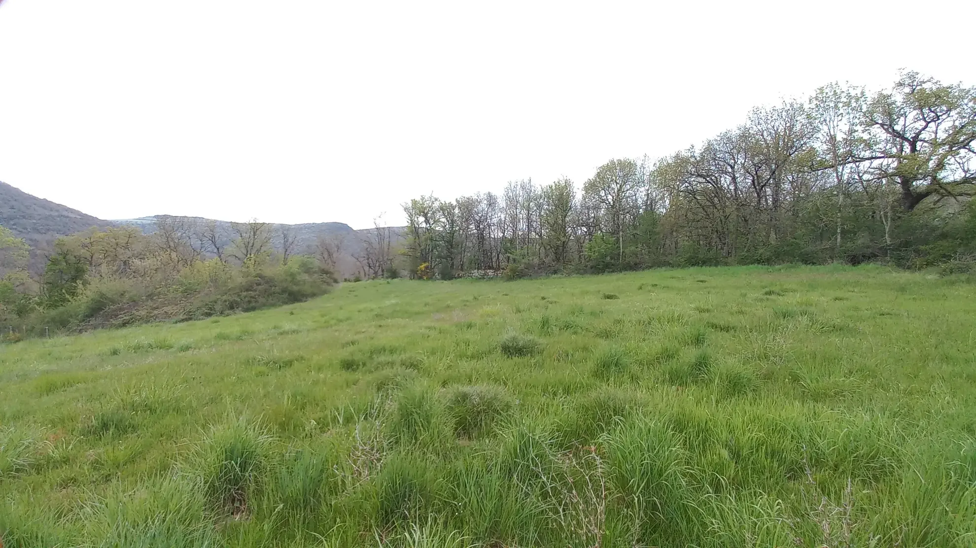 Terrain Agricole de 11 509 m² avec Hangar et Salle de Traite près de Millau 