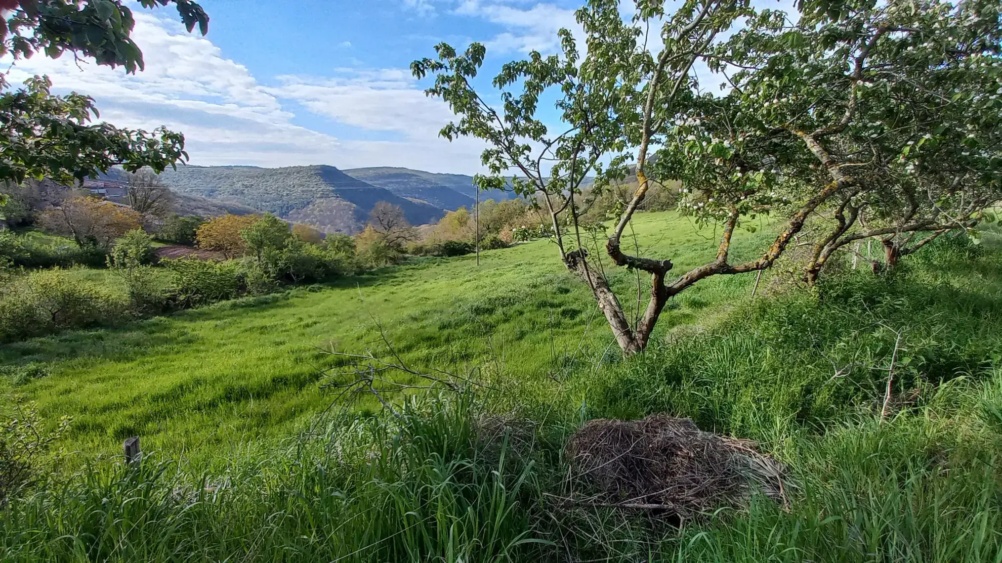 Terrain Agricole de 11 509 m² avec Hangar et Salle de Traite près de Millau 