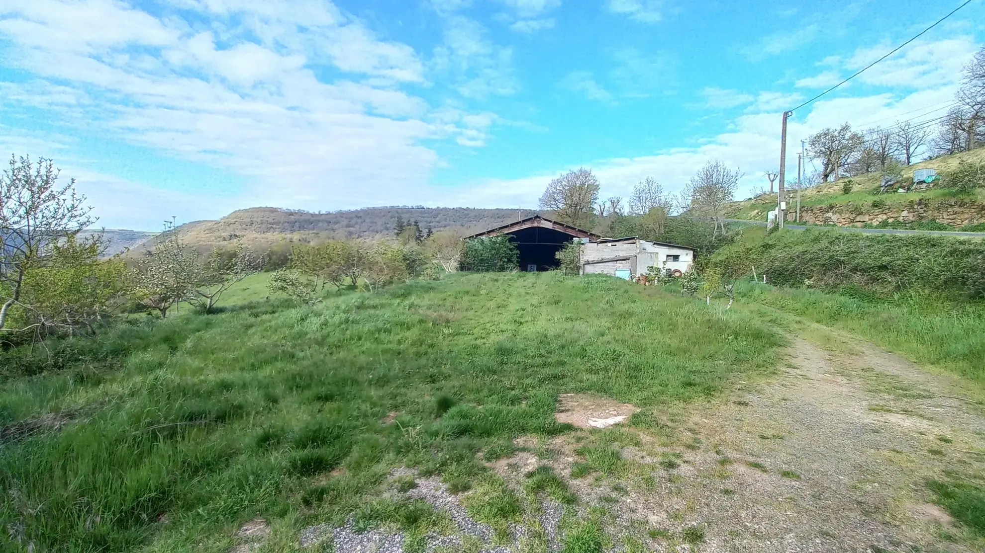 Terrain Agricole de 11 509 m² avec Hangar et Salle de Traite près de Millau 
