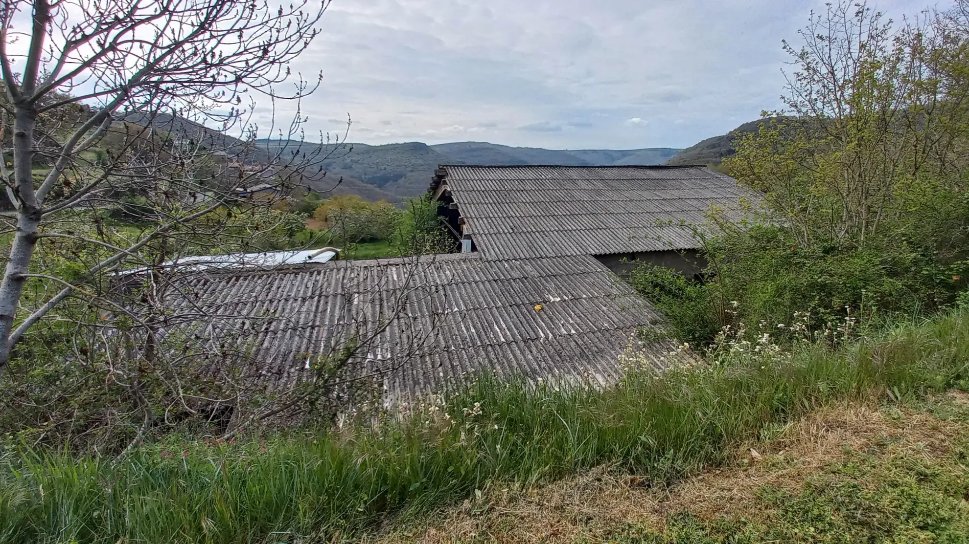 Terrain Agricole de 11 509 m² avec Hangar et Salle de Traite près de Millau 
