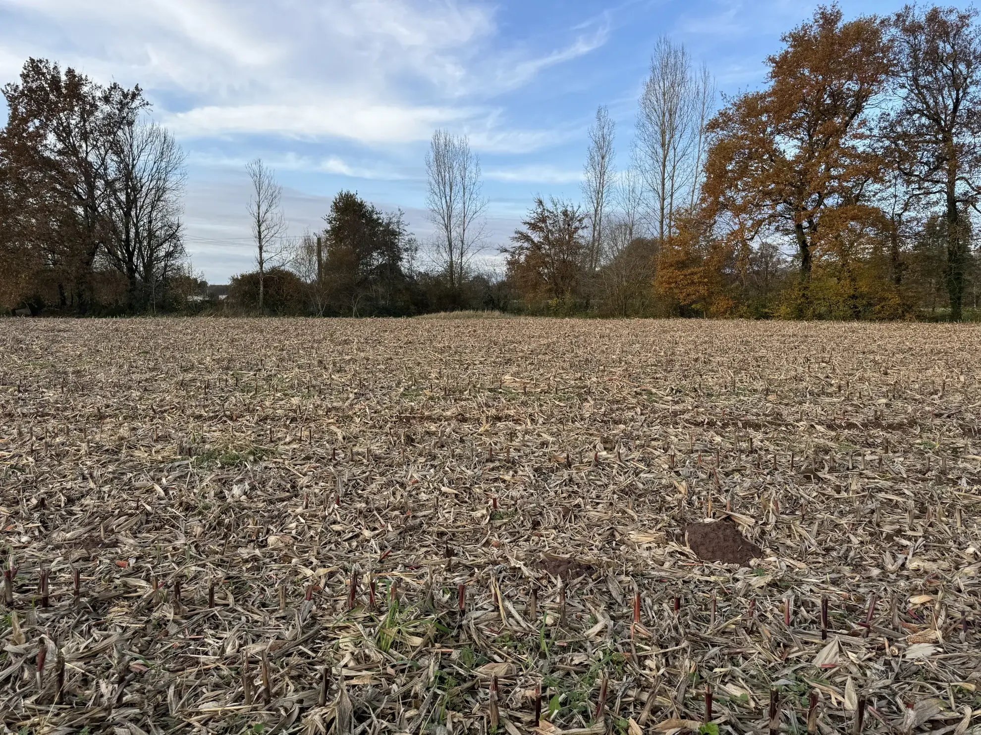 Terrain constructible de 1650 m² à Varetz pour projet de plain-pied