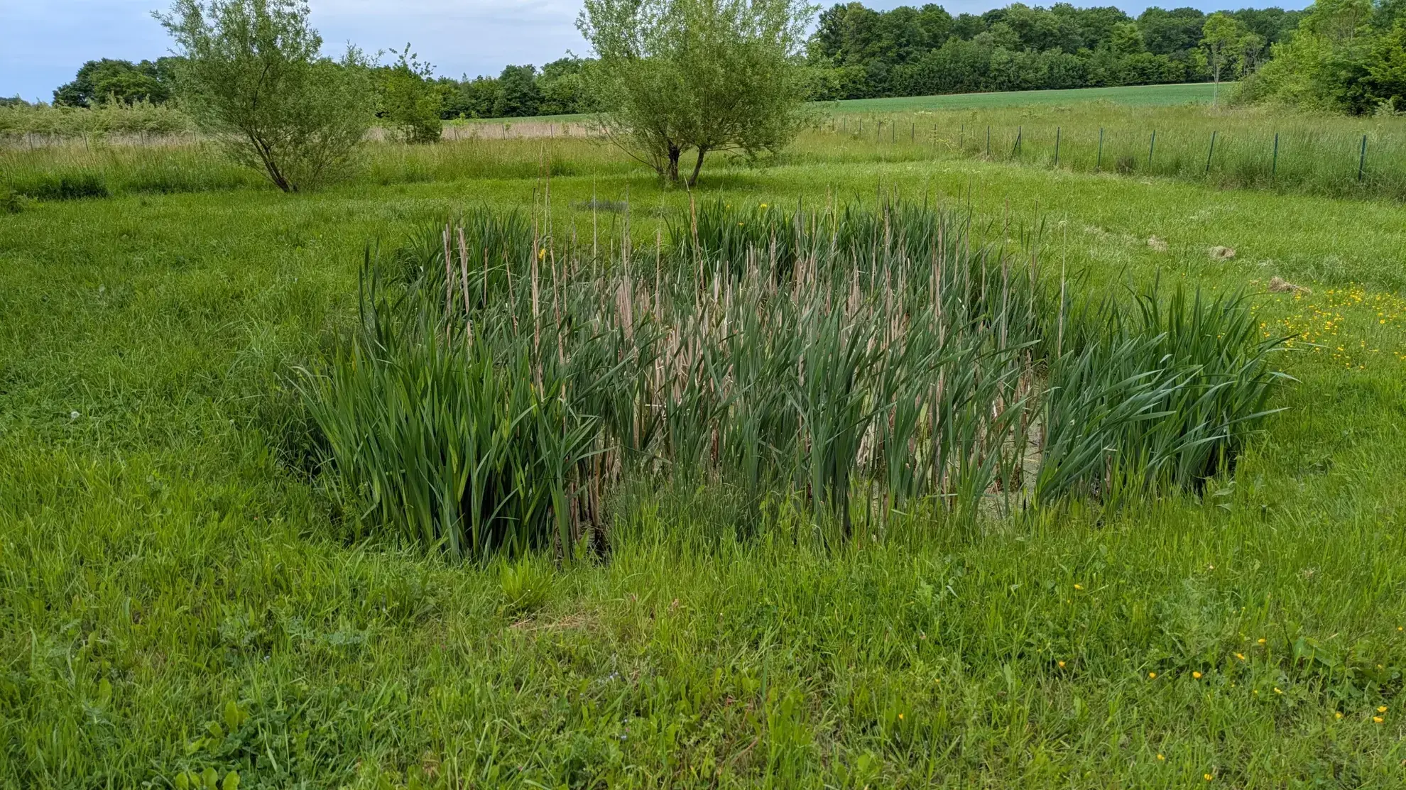Maison rénovée de 145 m² avec terrain de 6750 m² à Bois-de-Gand 