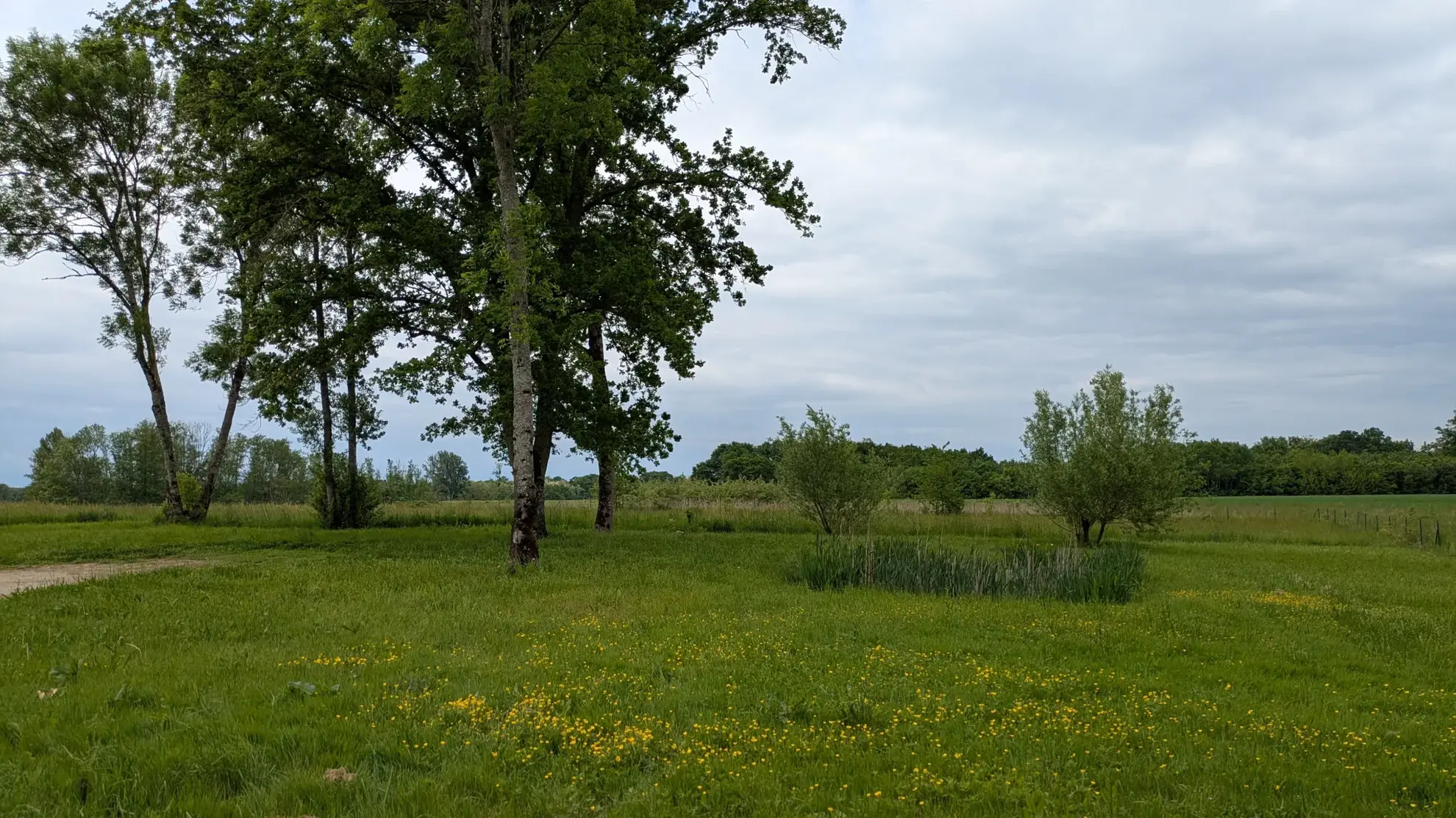 Maison rénovée de 145 m² avec terrain de 6750 m² à Bois-de-Gand 