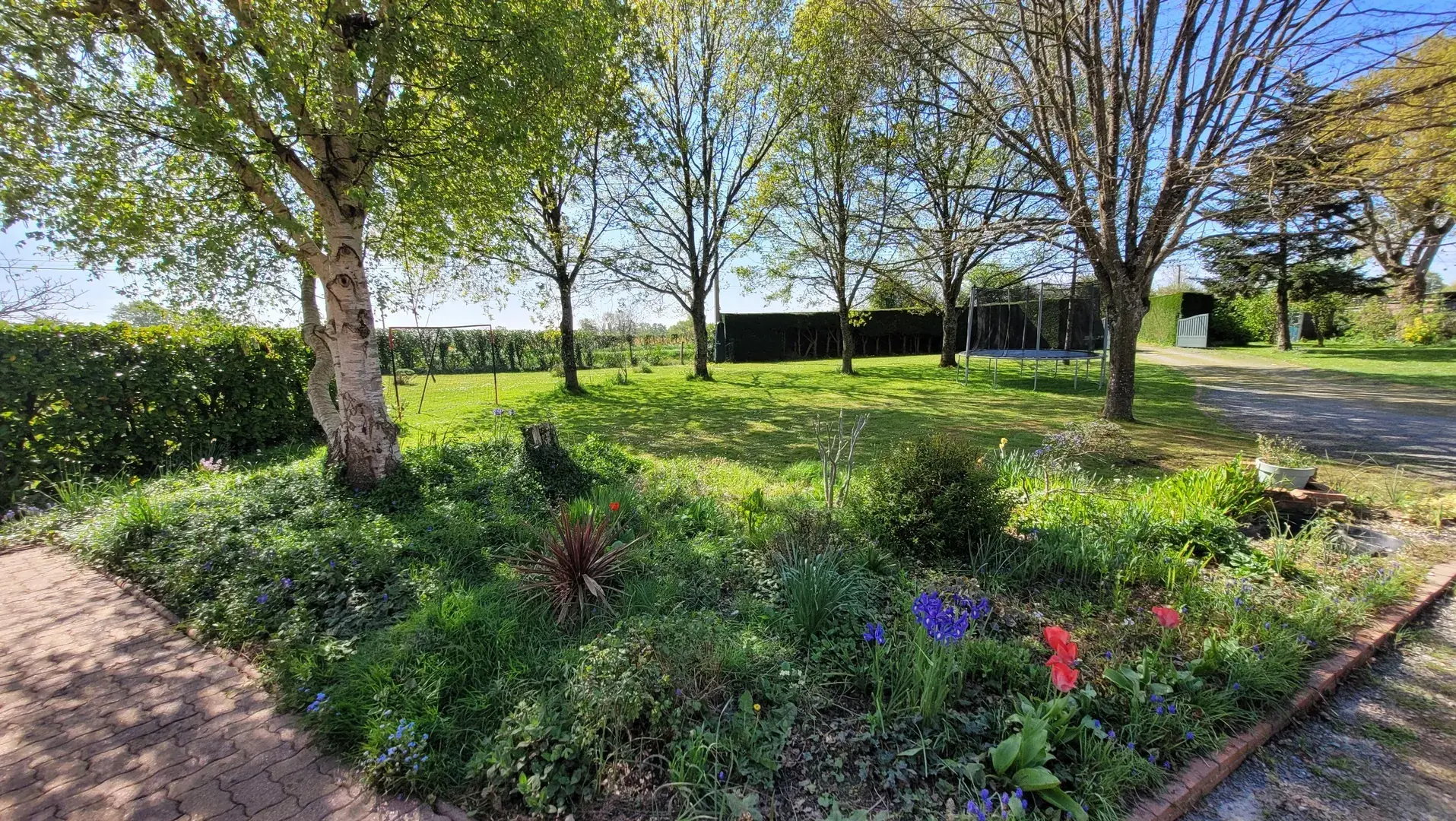Maison 5 chambres de plain-pied à Chemillé avec grand jardin et garage 